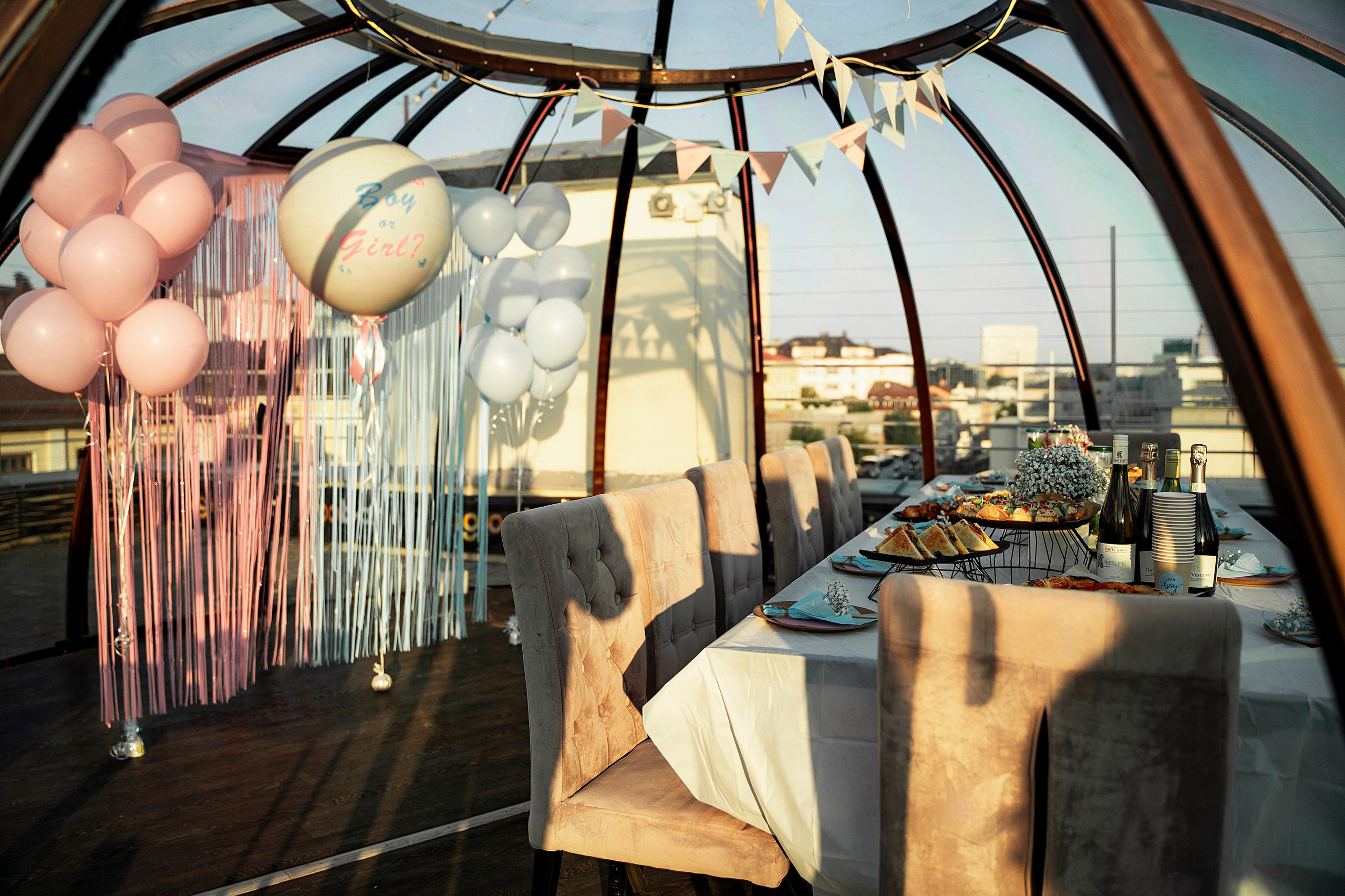 Гендер пати. Фотограф Казань