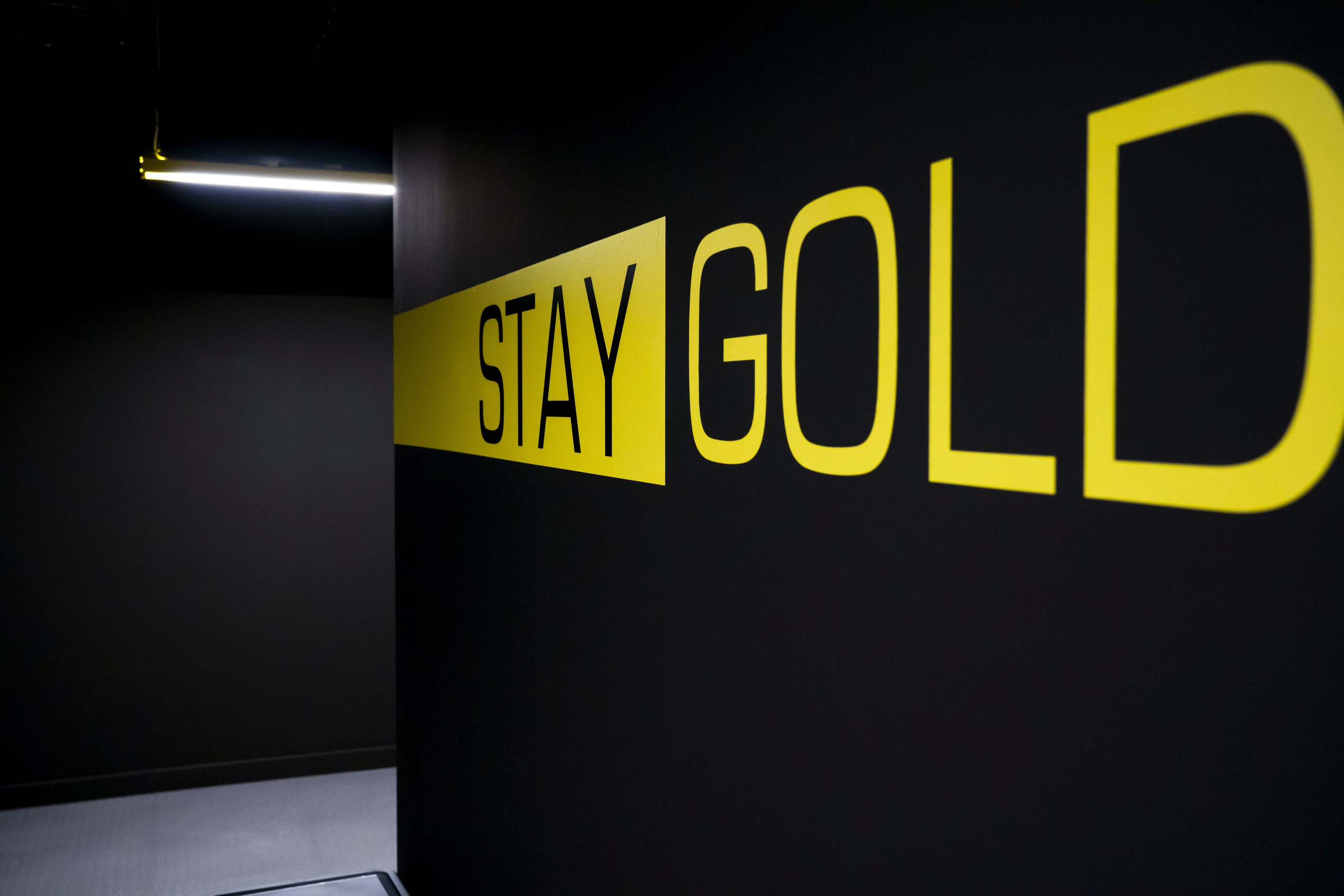 Colizeum интерьер. Фотограф в Санкт-Петербурге. Репортажная и все съёмки для бизнеса