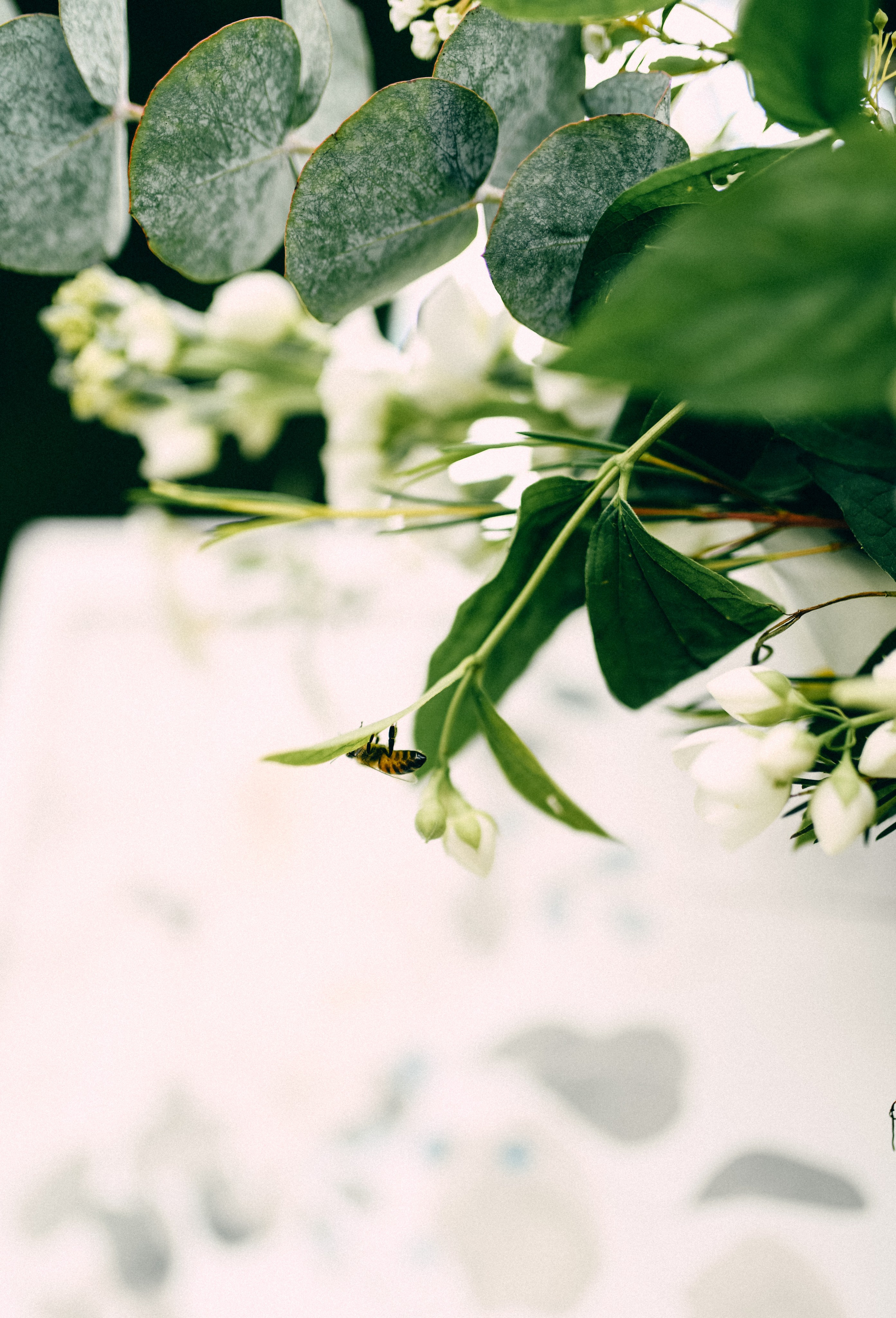 Eda&Gerardo. Фотограф Василиса Гордеева