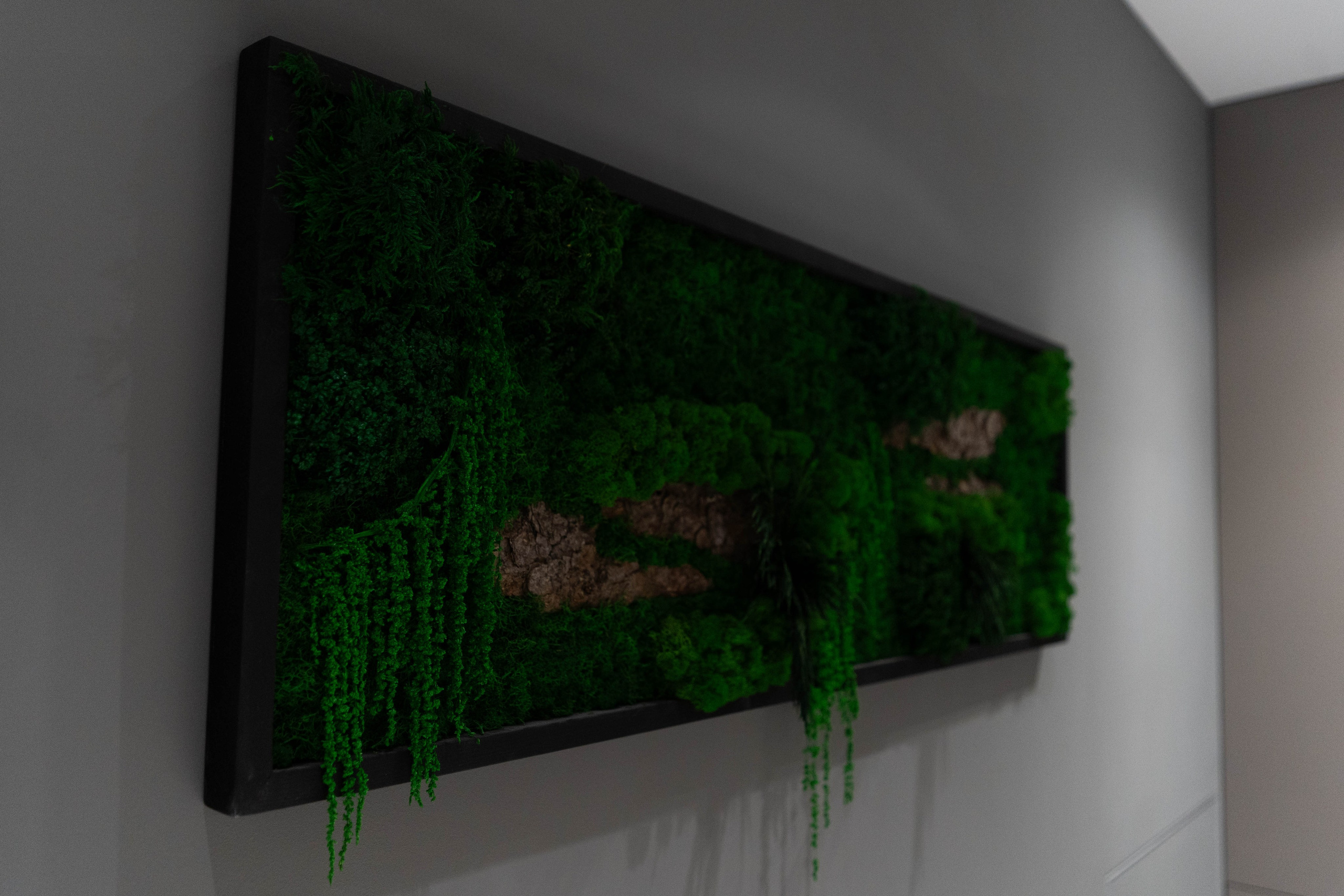 KP Cambridge. Rezyame