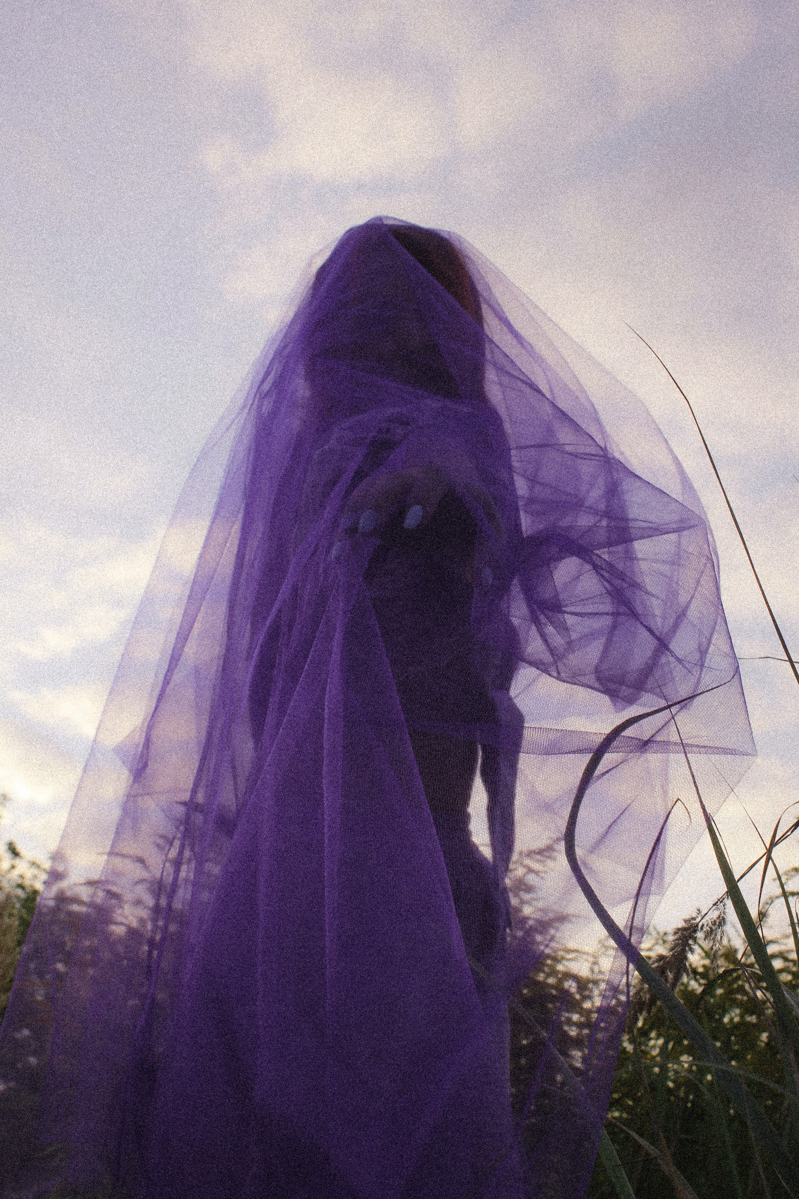 Елена. Лиза Рязанцева