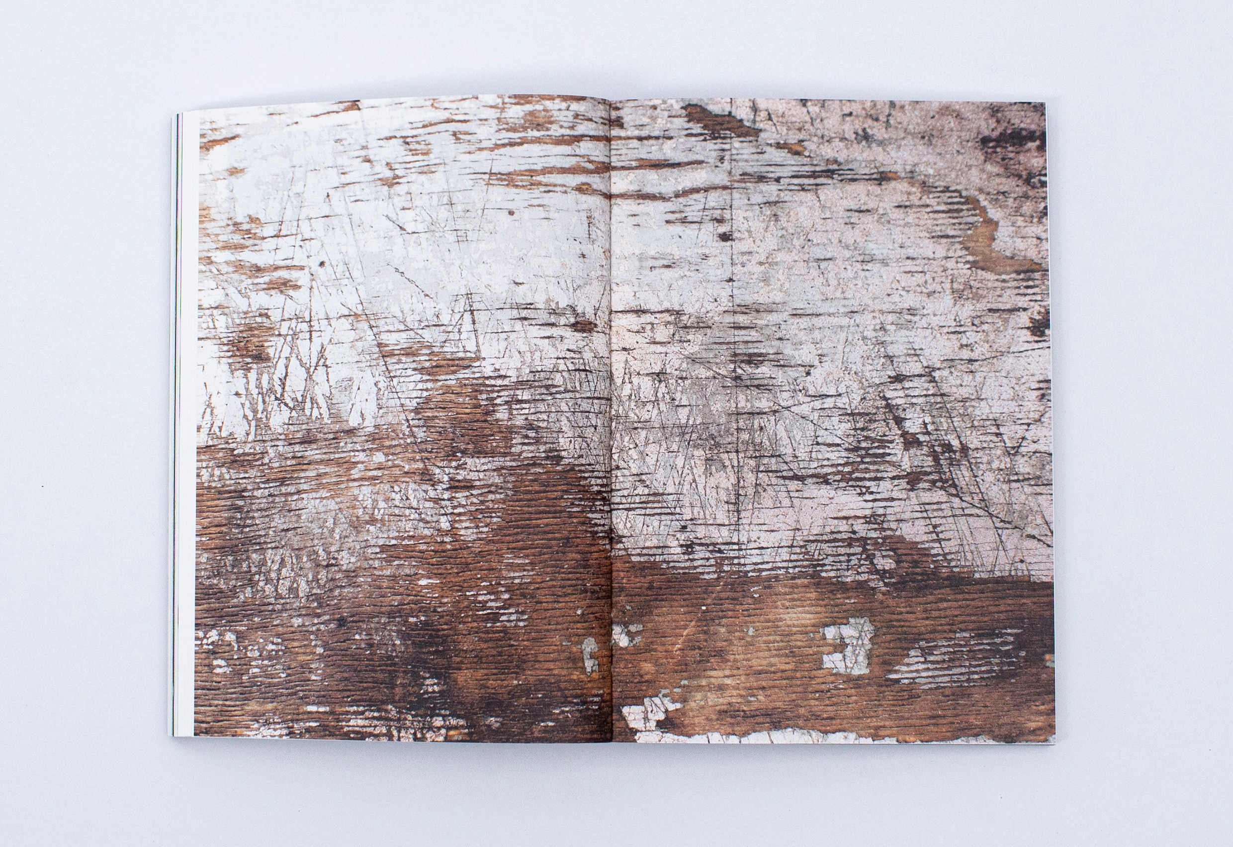 Книга. Фотограф в Москве Алейникова Евгения