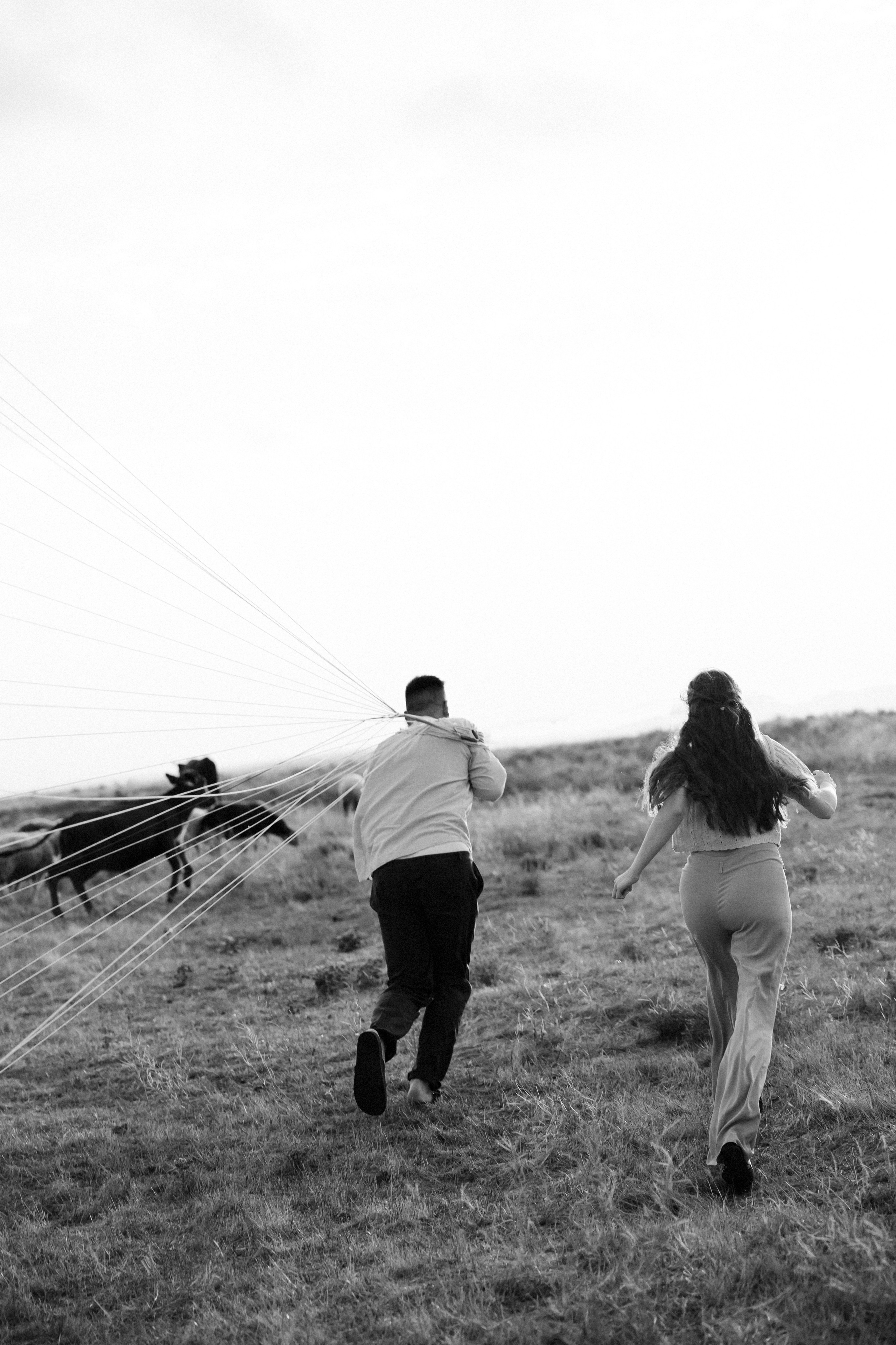 Взлететь как птицы…. Свадебный и семейный фотограф и видеограф, Крым, Москва, Санкт -Петербург