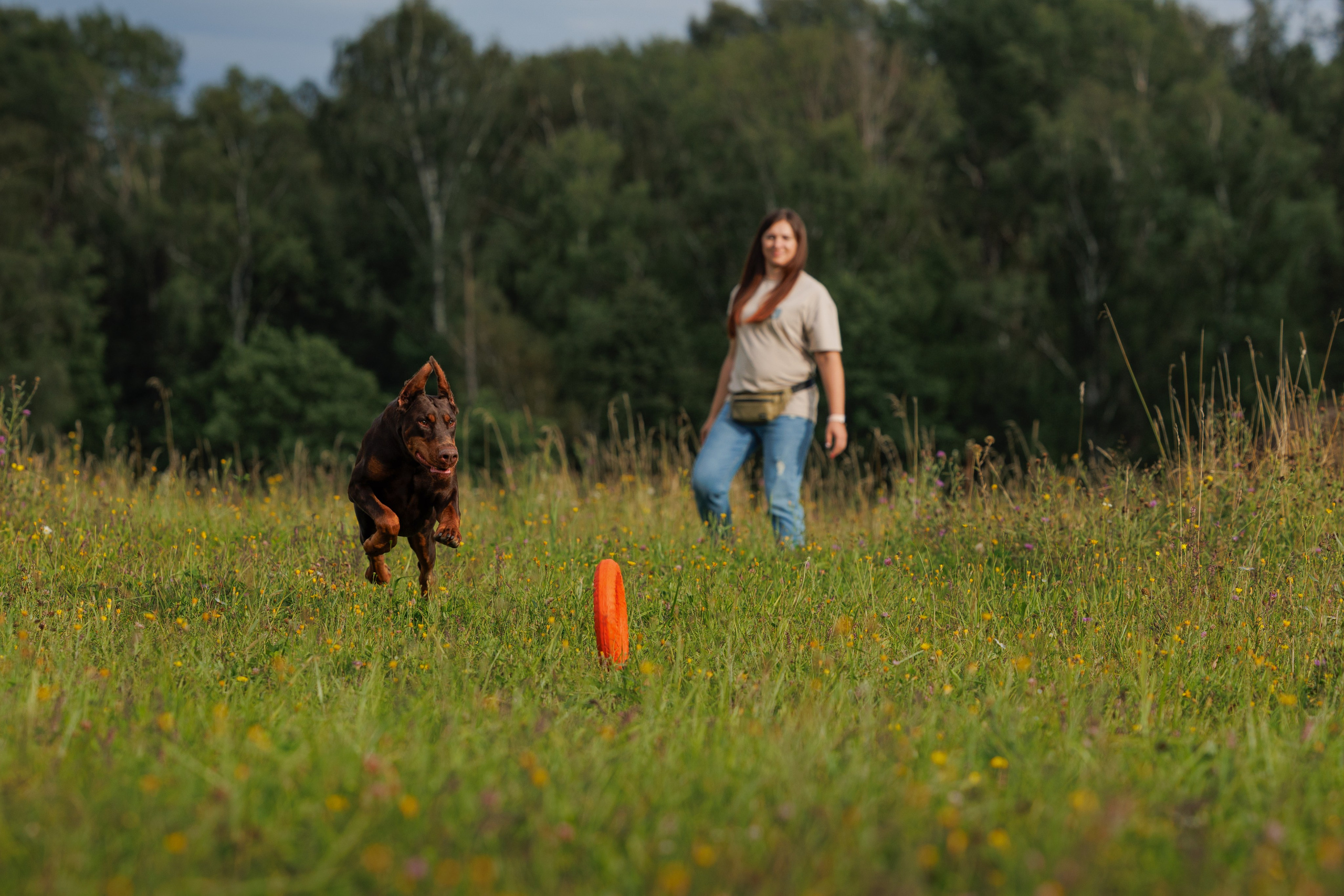 Портфолио: Фотосессии людей с собаками — душевные кадры. Фотограф-анималист и бренд-фотограф в Москве | Фотография собак, людей, бизнес-портрет