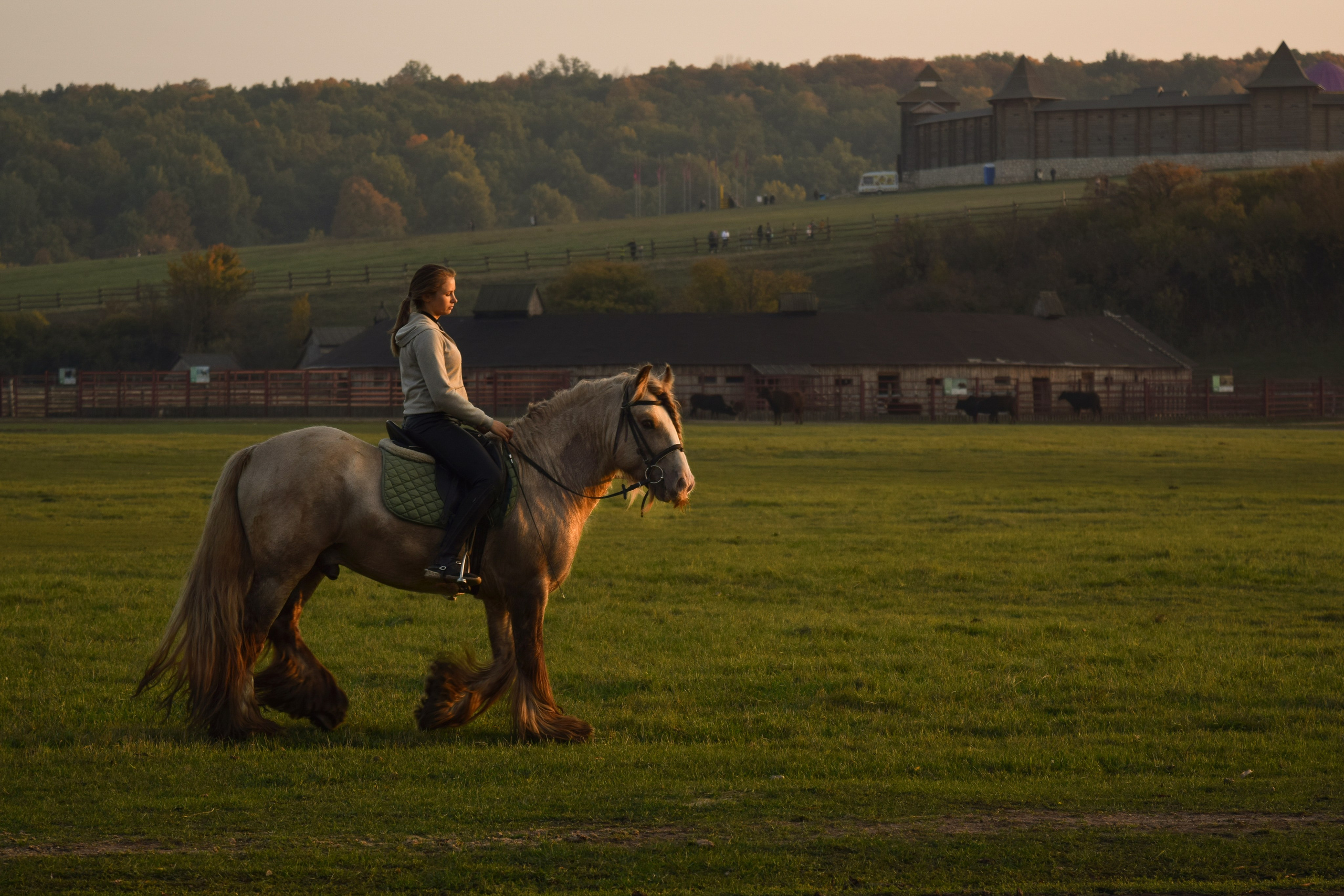Кудыкина гора. Конный фотограф в Саратове Юлия Иванова