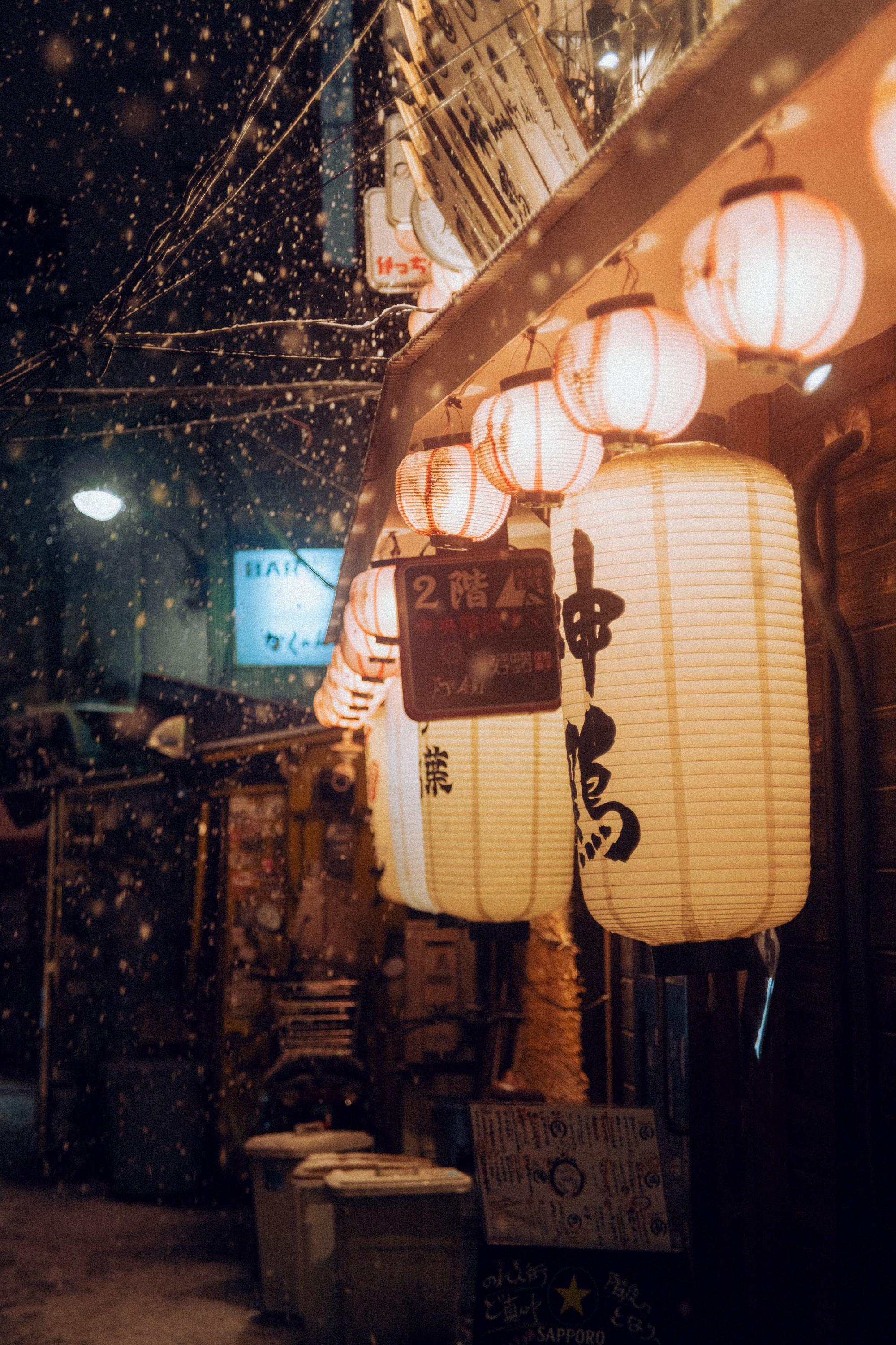 Japan. Photographer in Tokyo Anatolii Ozarto
