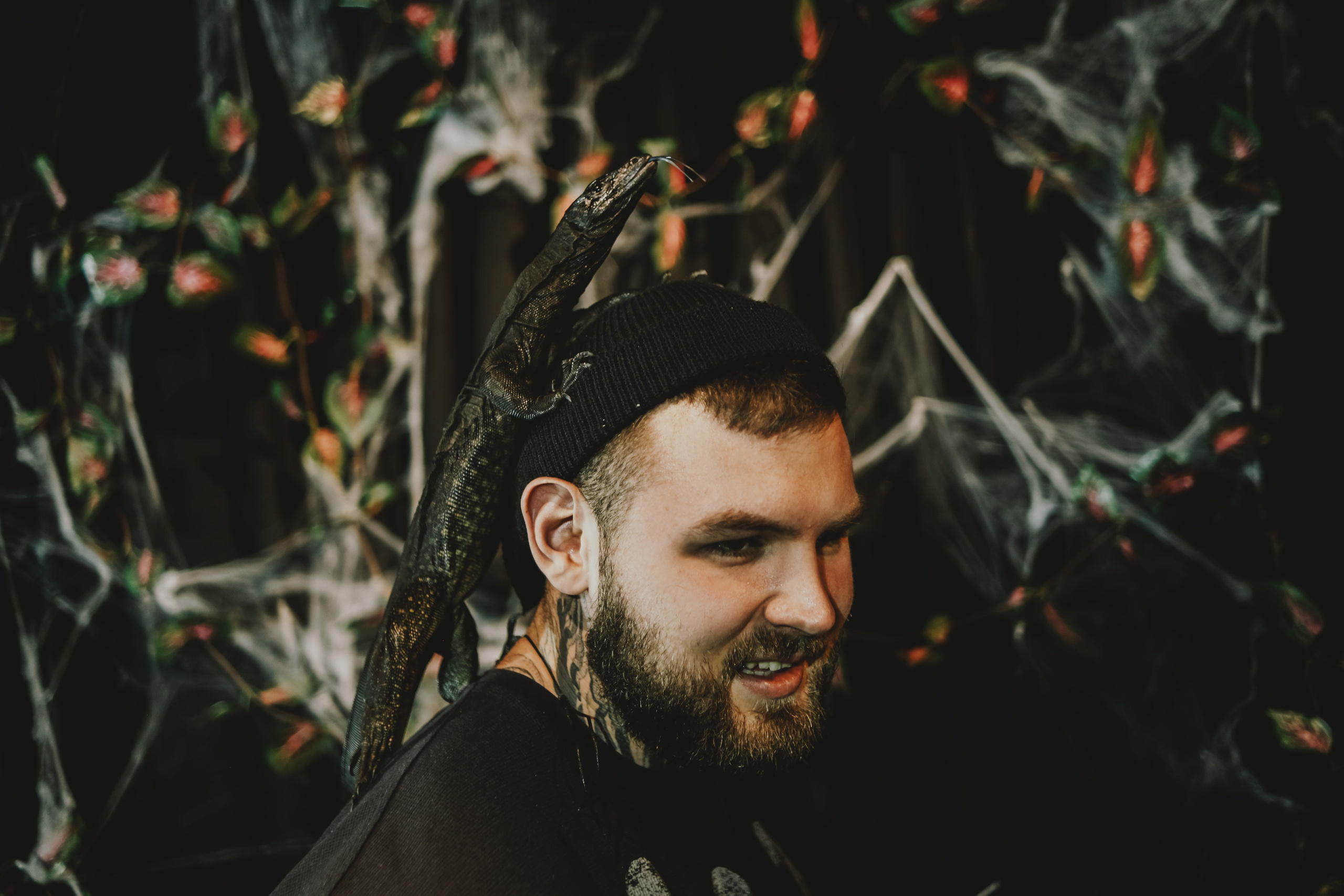 Дом Драконов. Nattie.ph