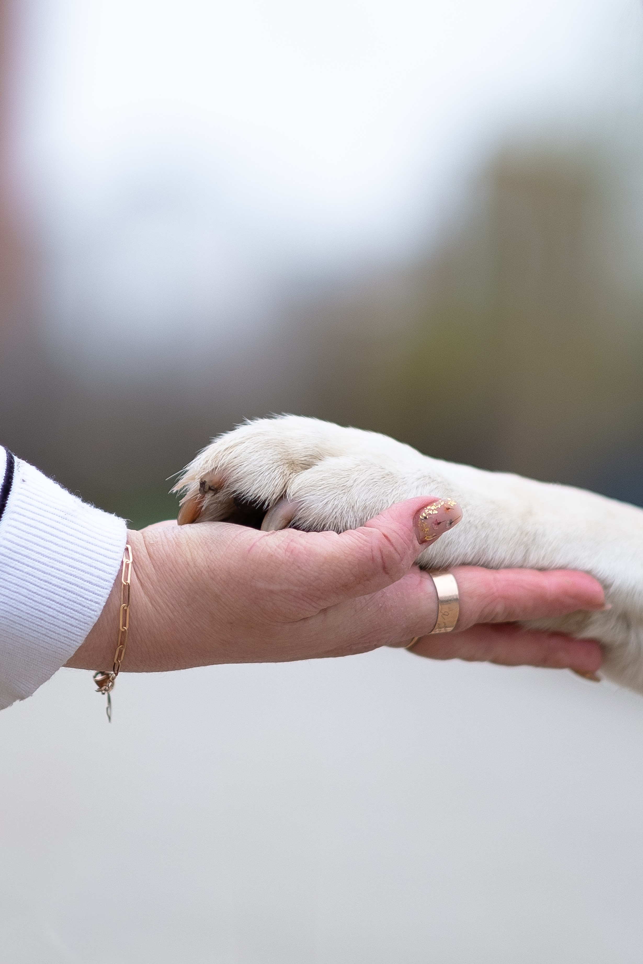 Света и Лето. Фотограф и видеограф анималист Аганина Дарья