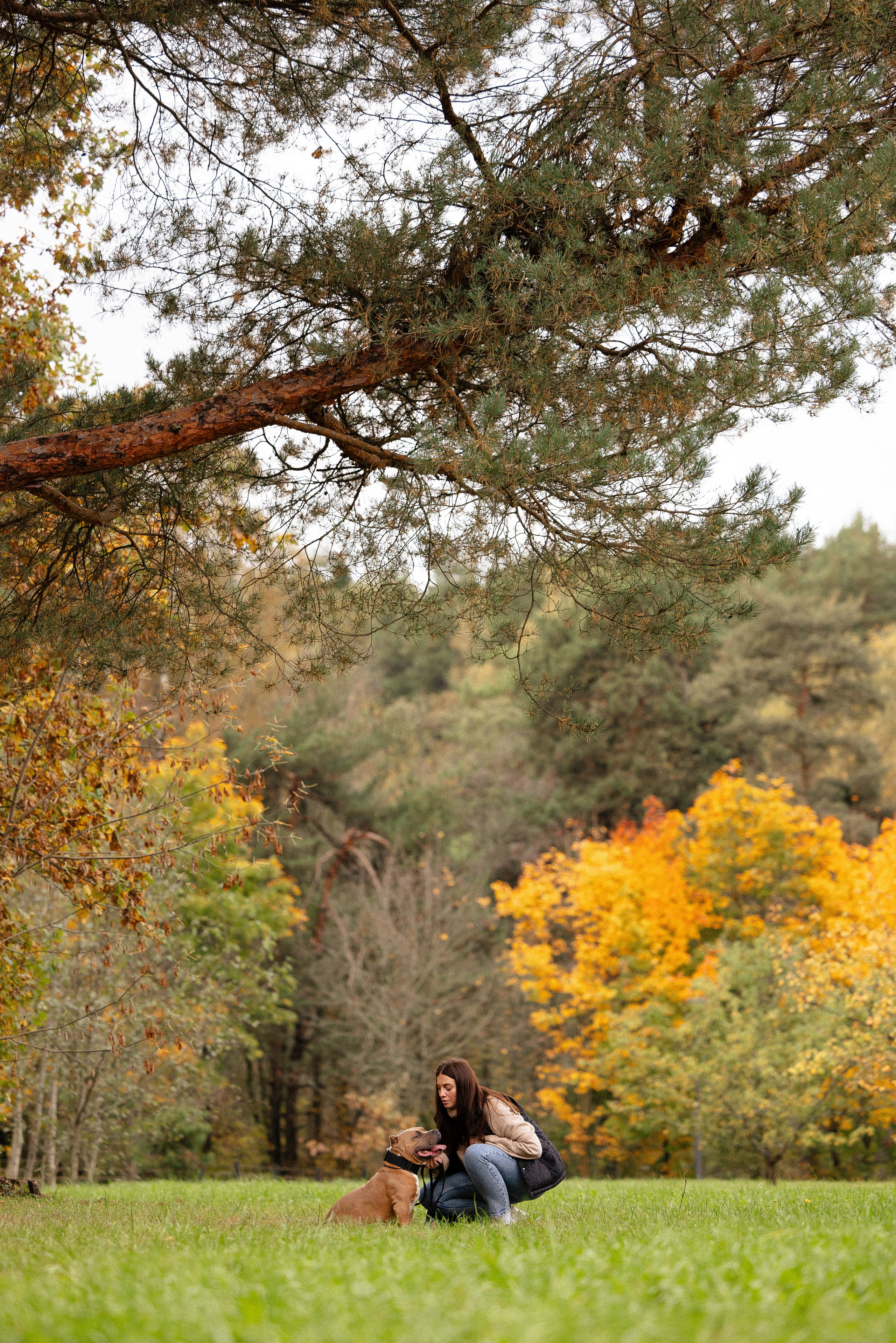 Алена и Тор. Фотограф и видеограф анималист Аганина Дарья