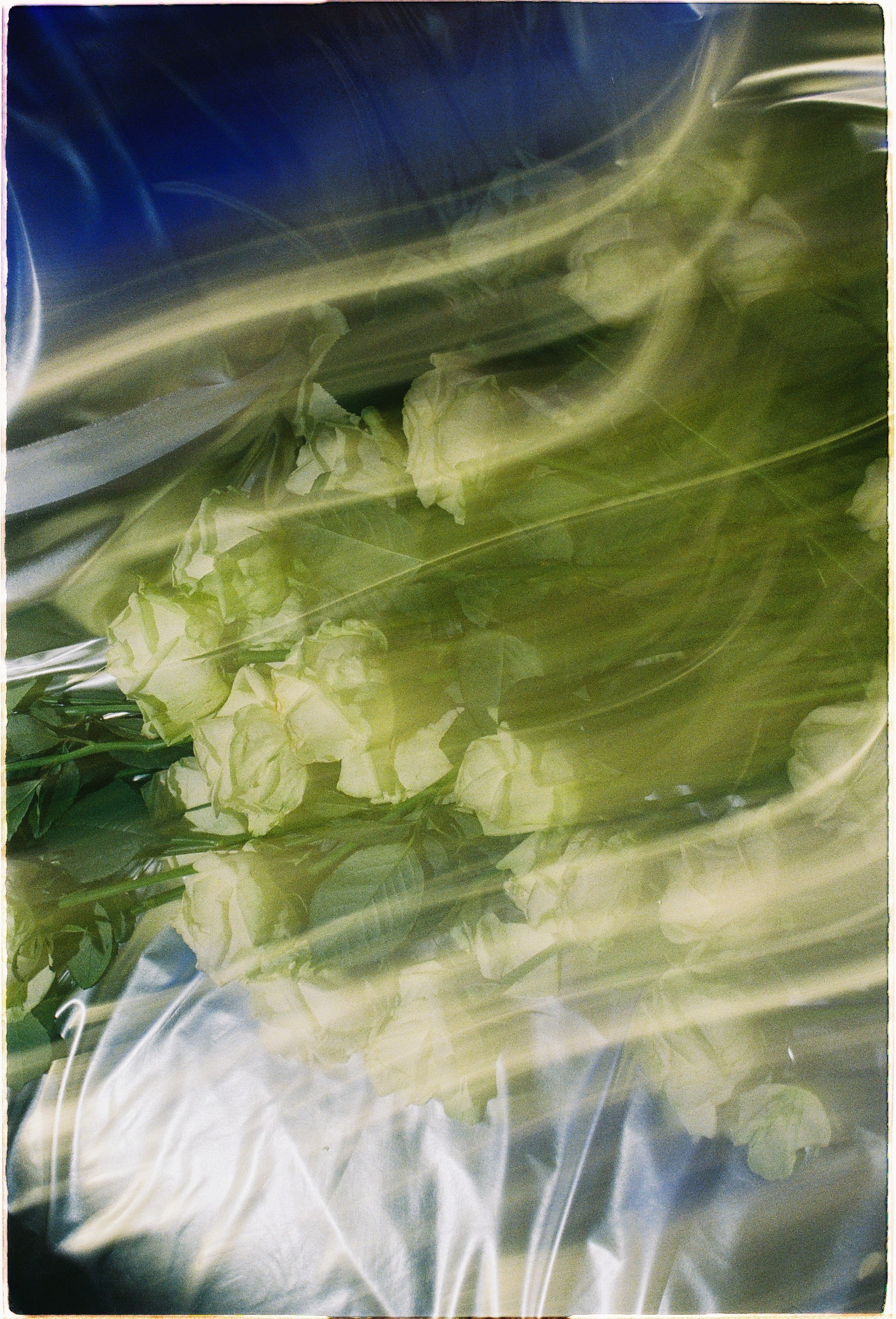 Бал Гоши Карцева. Илья Симонов фотограф москва