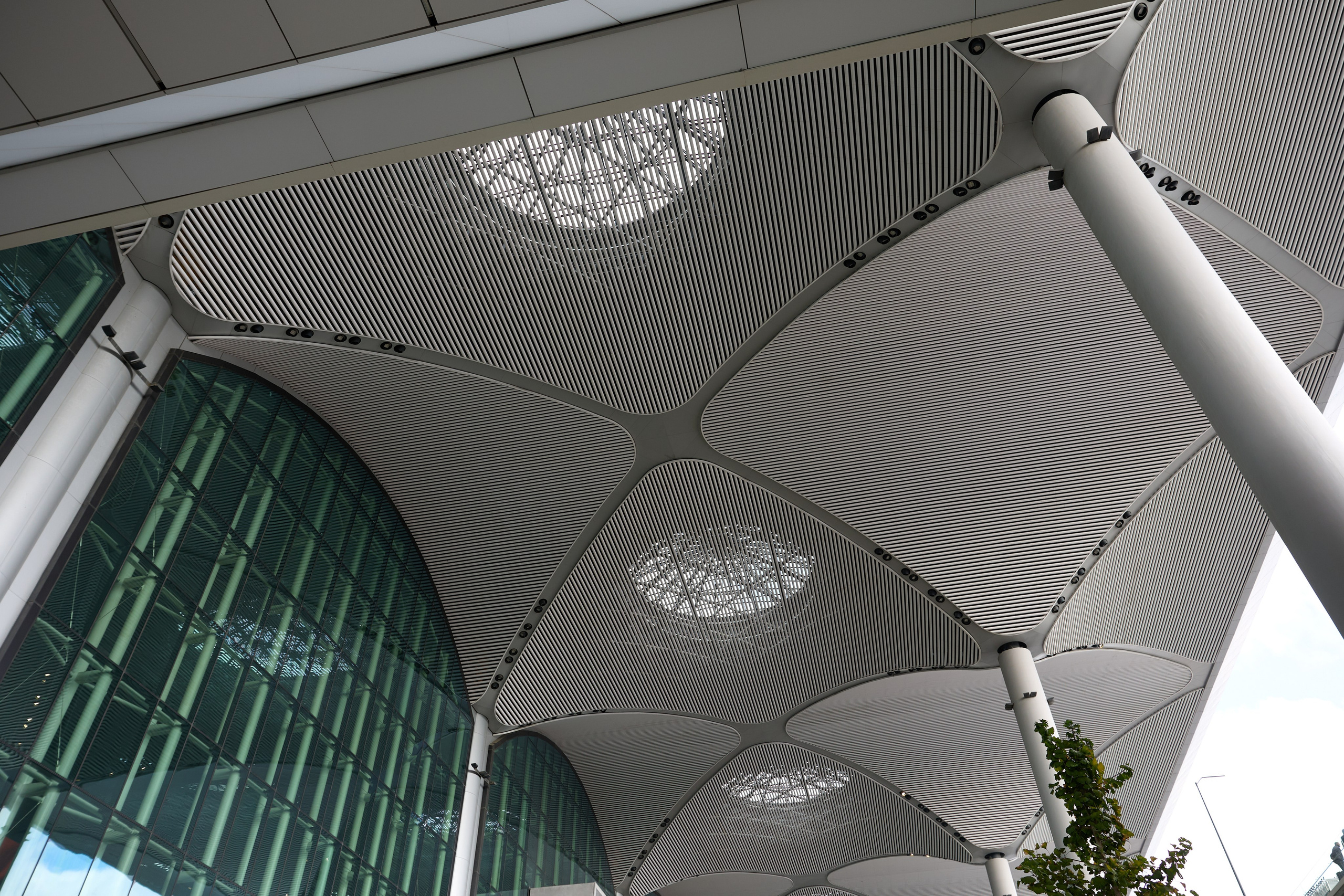 Стамбул 24. Фотограф Москва, Дима Пеллер