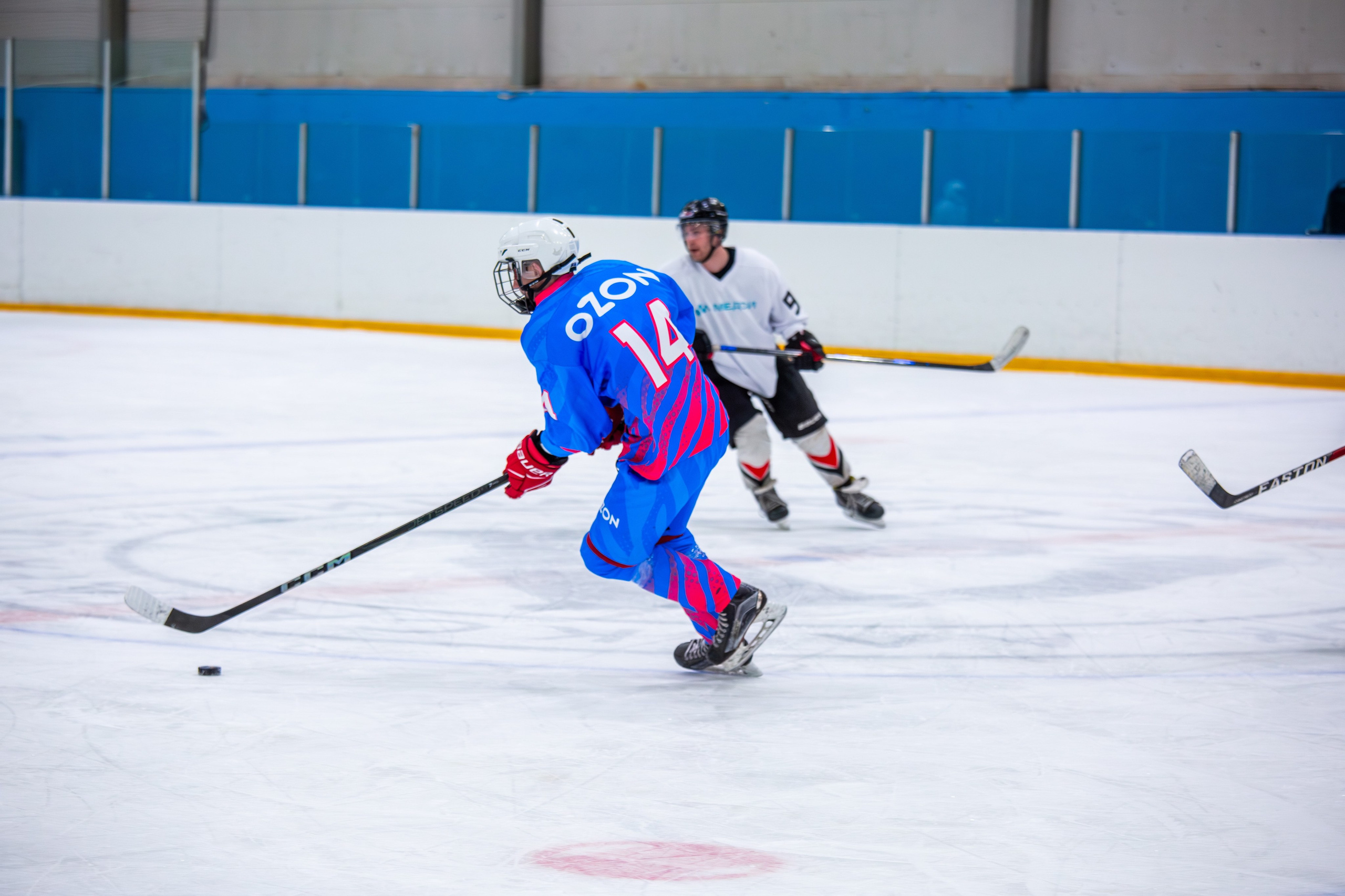 Чемпионат по хоккею. Репортажный, семейный, свадебный, портретный фотограф