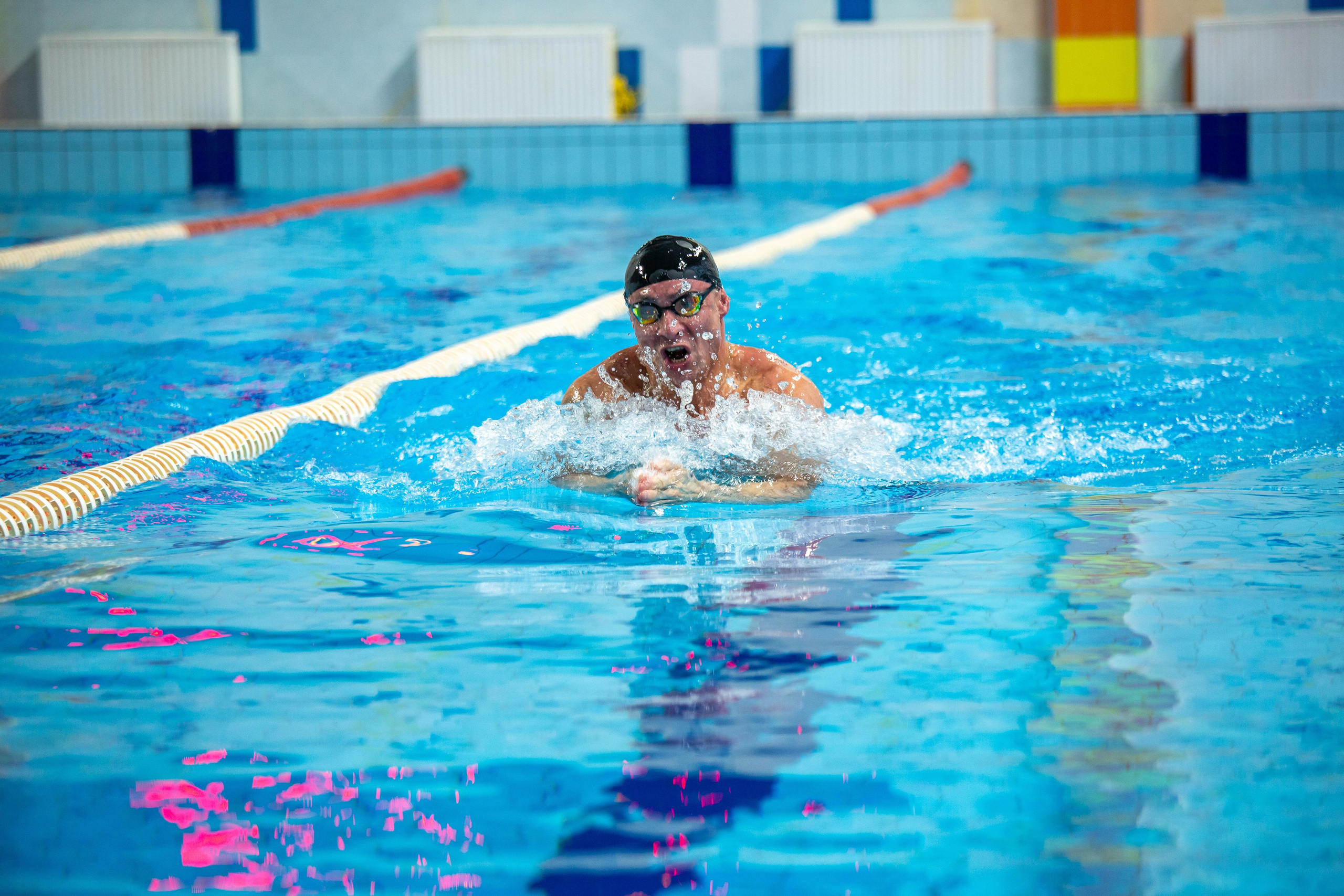 Турнир по плаванию. Репортажный, семейный, свадебный, портретный фотограф