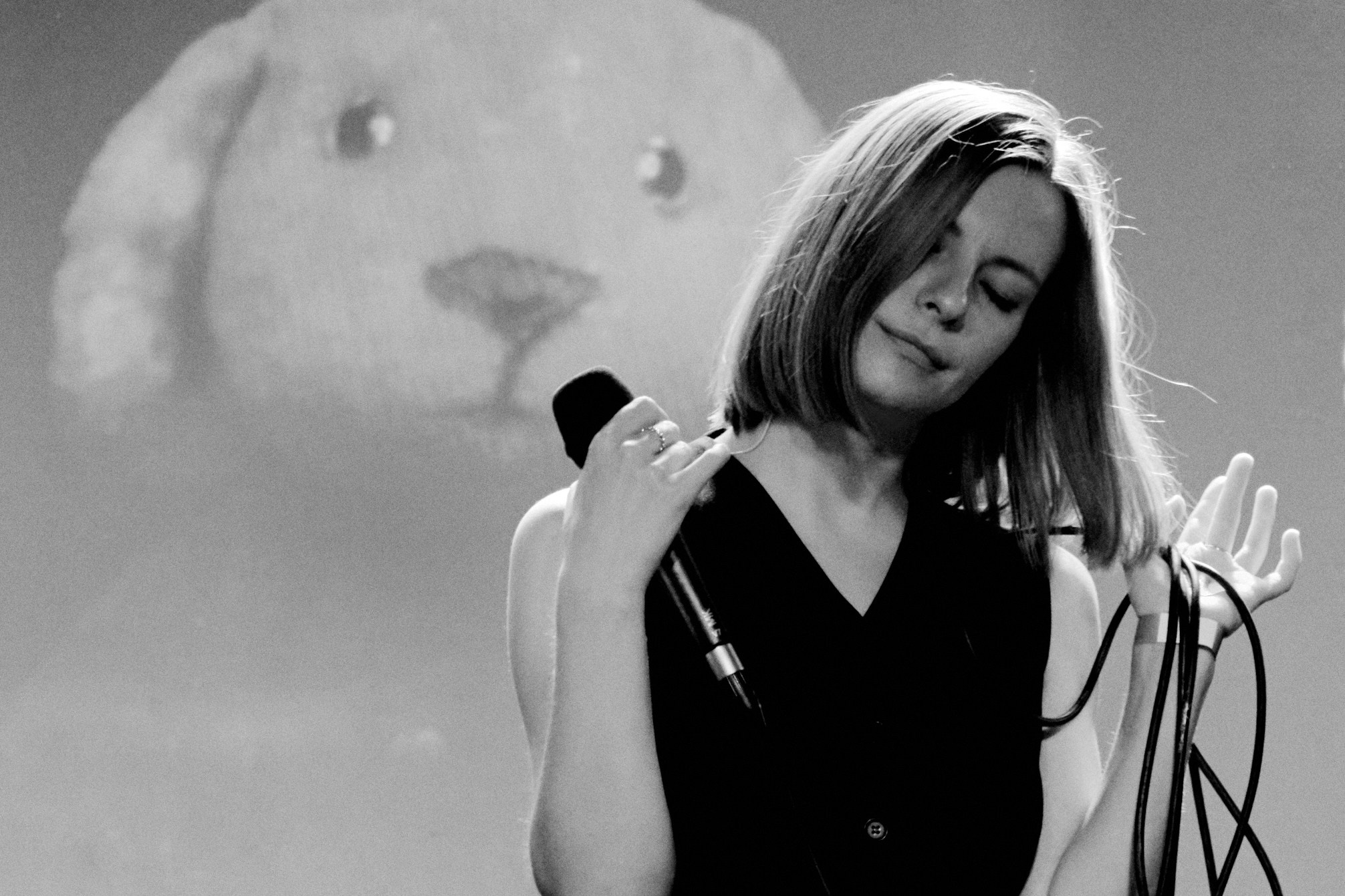 Порез на собаке. Фотограф Юлия Маринина