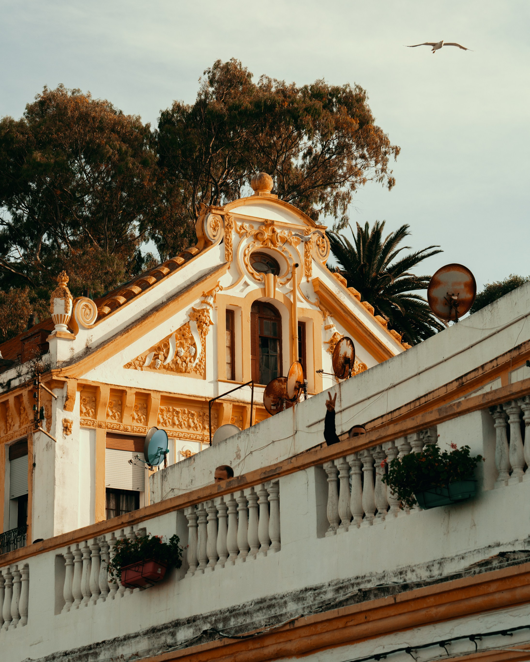 Северная Африка: Тунис, Марокко. Фотограф в Хабаровске. Фотография за 24 часа