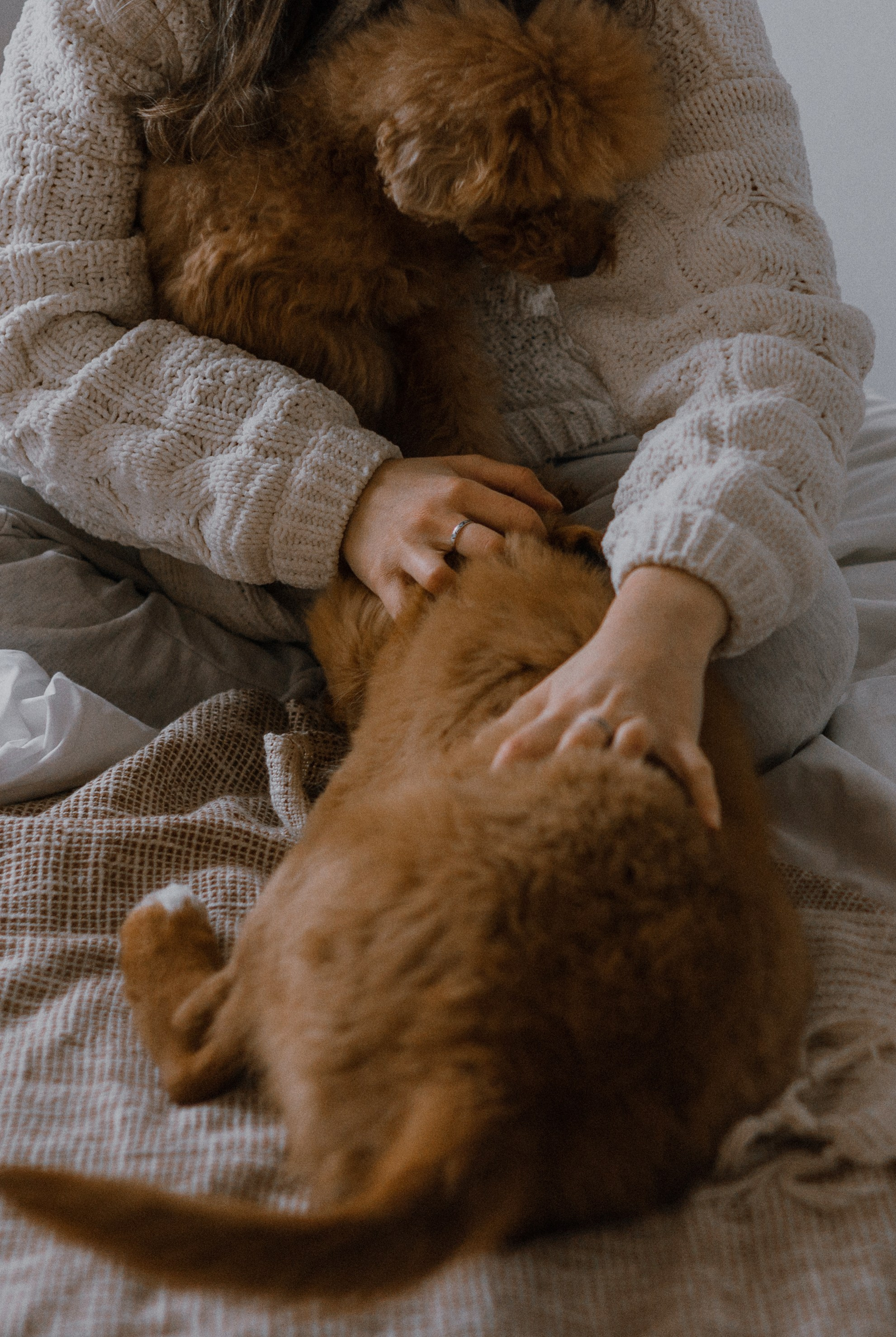 Маша, Одди и Нэвил. Фотограф-анималист Богданова Полина