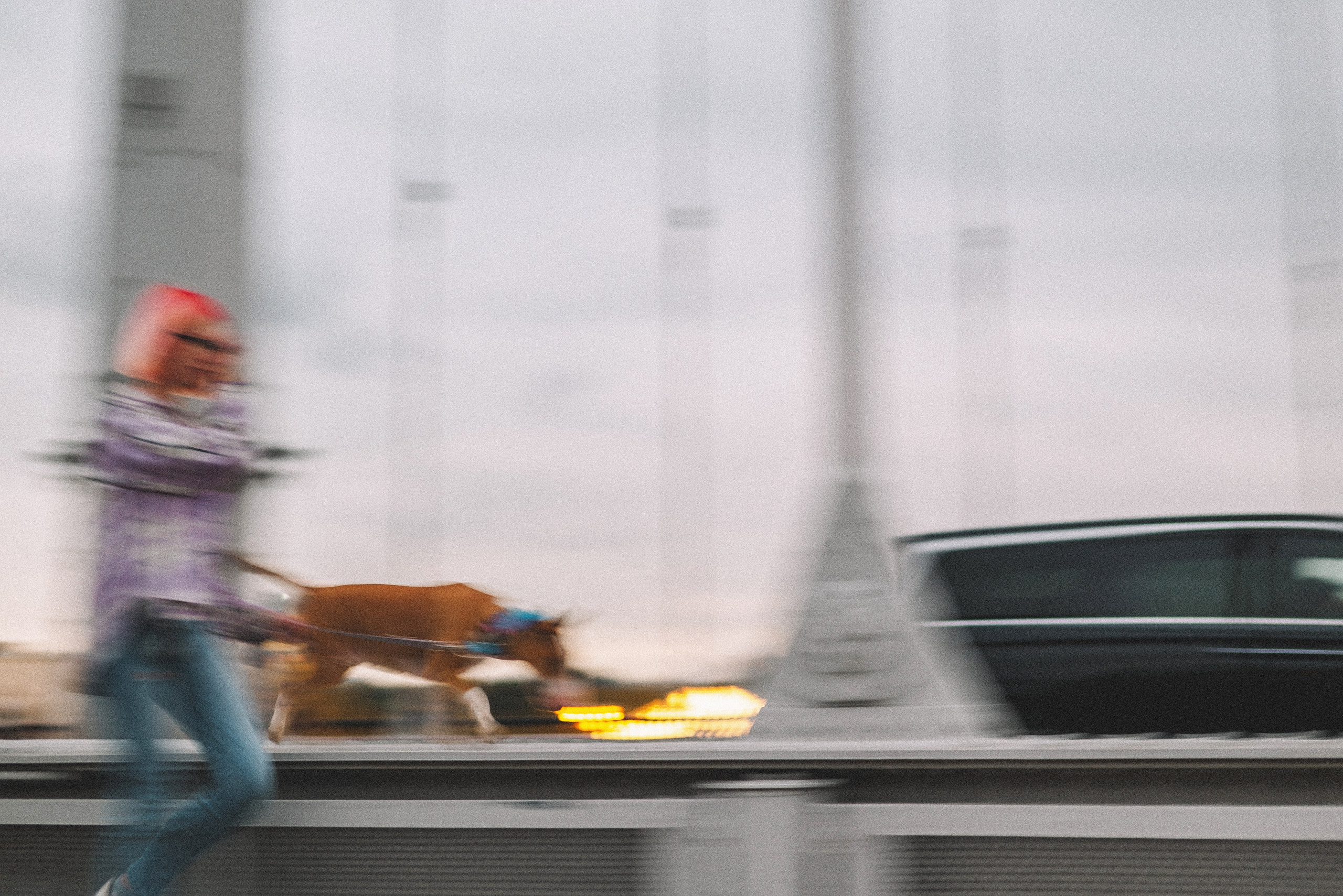 Маша и Рулька. Фотограф-анималист Богданова Полина