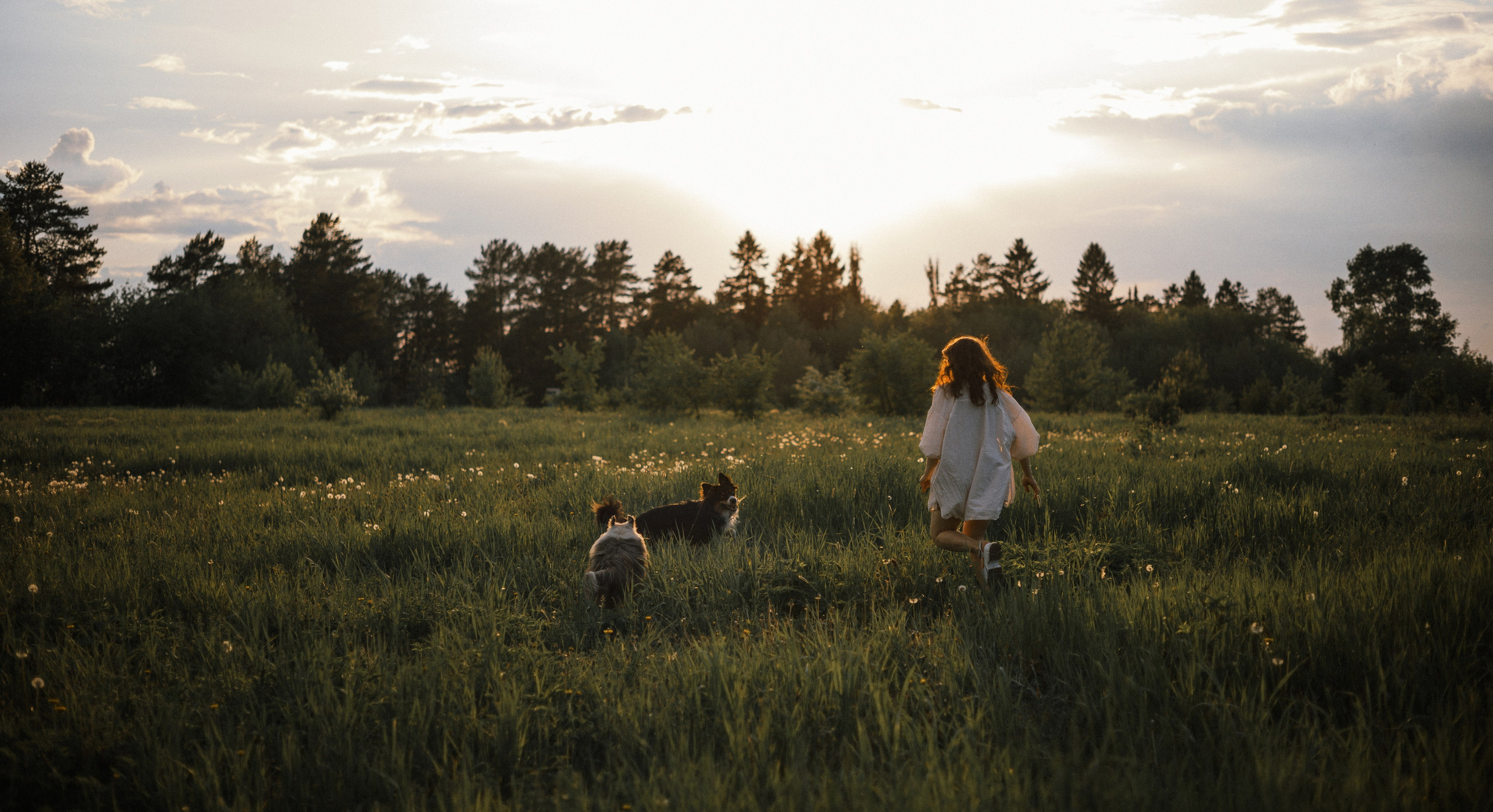 Настя, Шуня, Милка и Тигуан. Фотограф-анималист Богданова Полина
