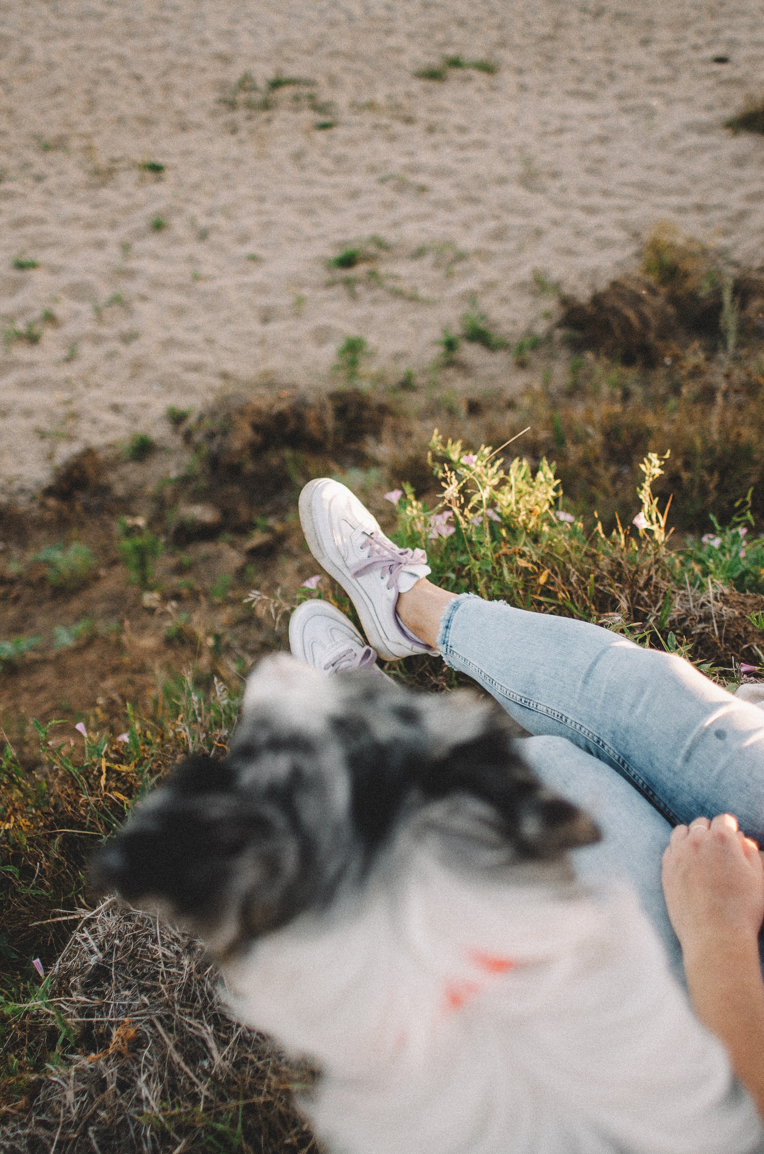 Таня и Бриллиант. Фотограф-анималист Богданова Полина