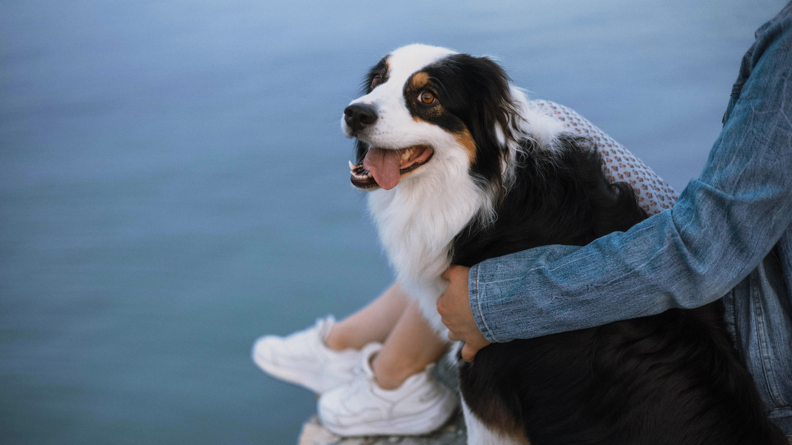 Ира и Джесс. Фотограф-анималист Богданова Полина