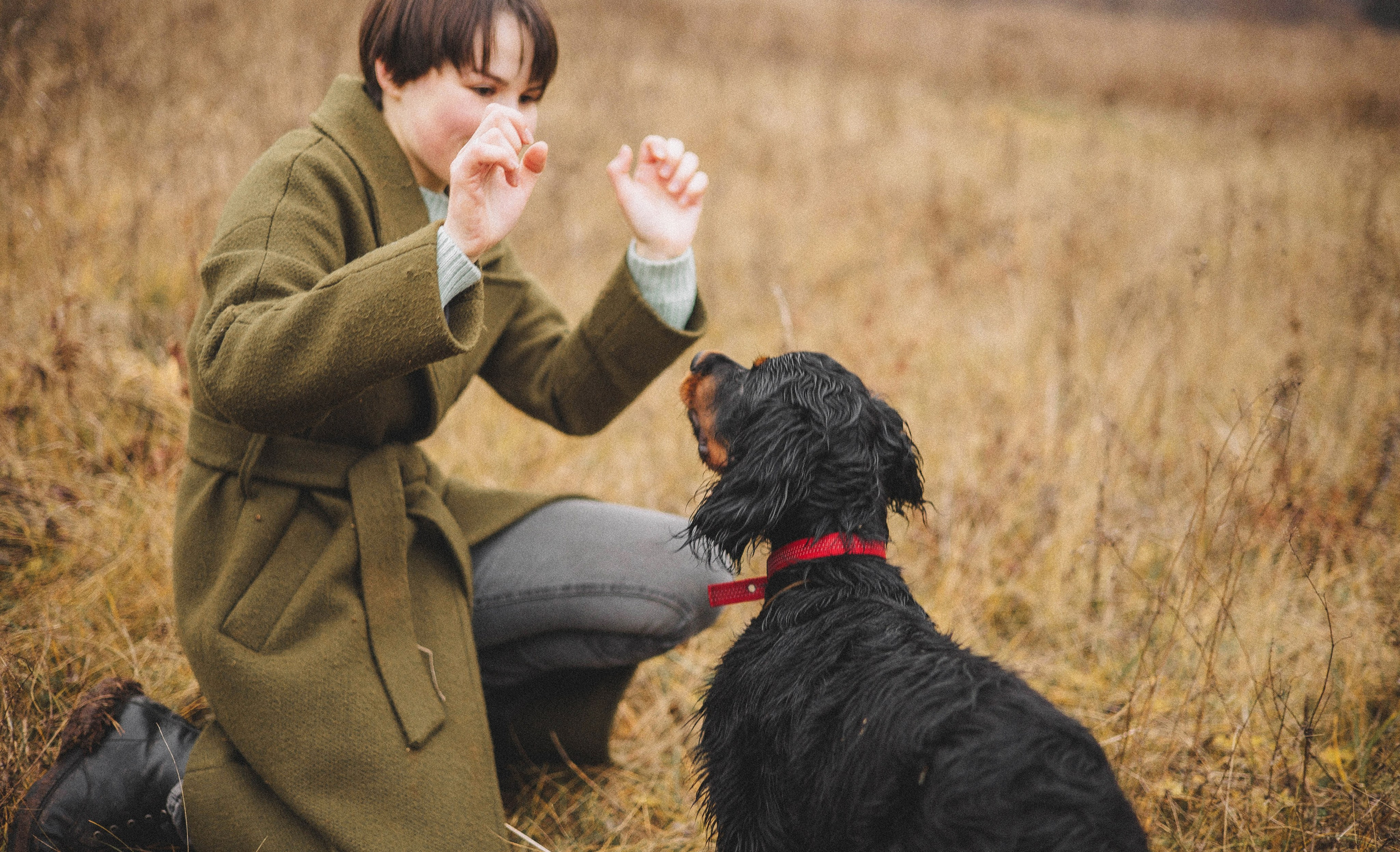 Даша, Глеб, Барс и Бруно. Фотограф-анималист Богданова Полина