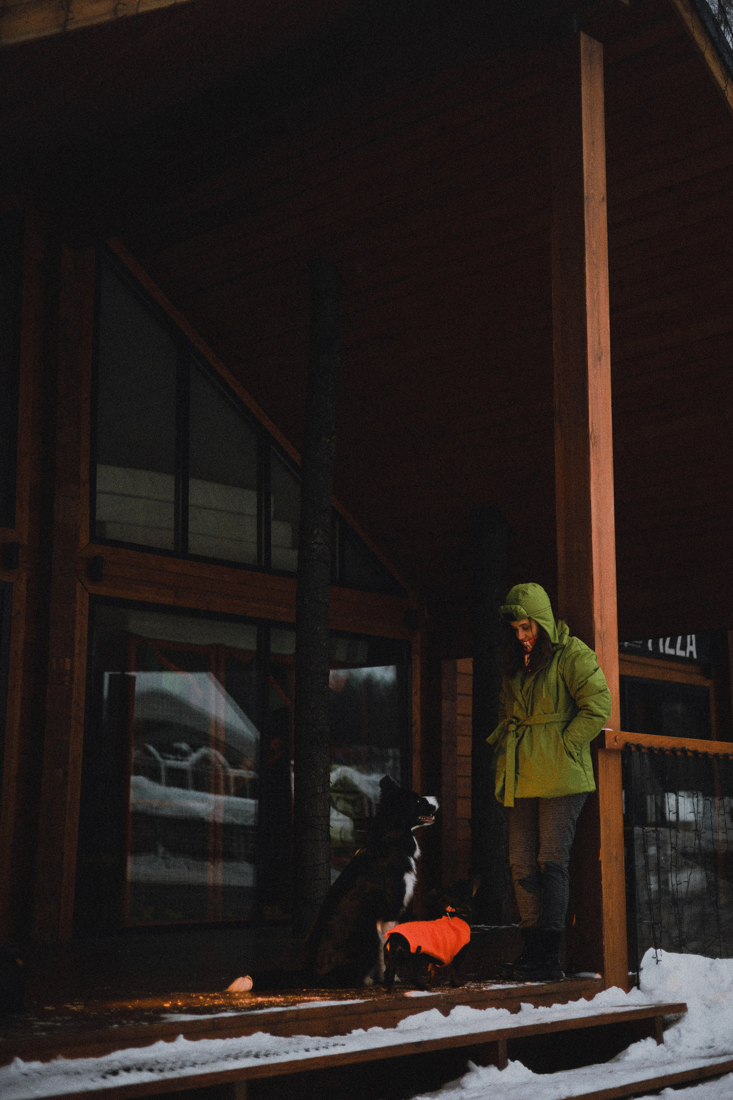 Маша, Рэм и Ньютон. Фотограф-анималист Богданова Полина