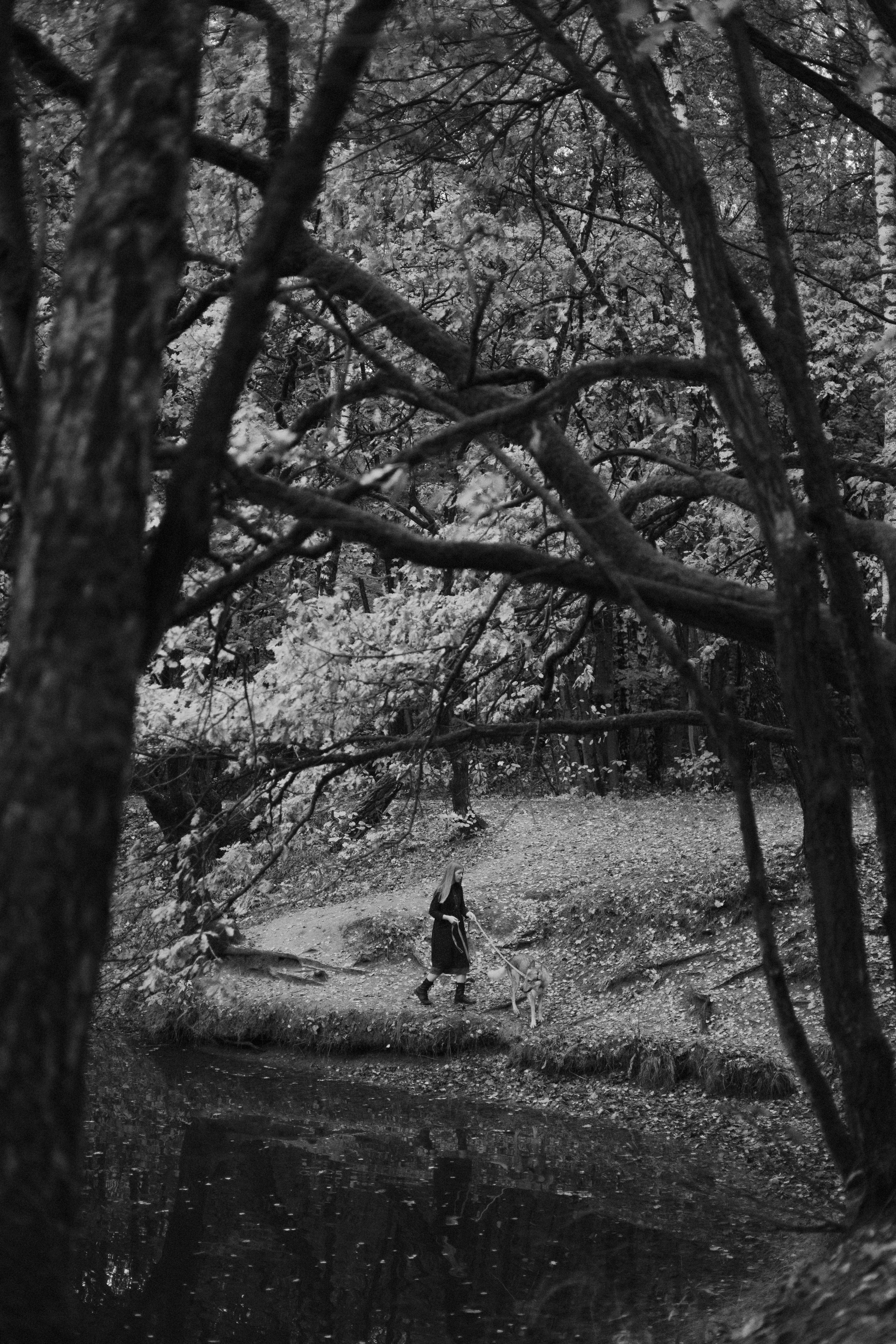 Полина и Вегард. Фотограф-анималист Богданова Полина