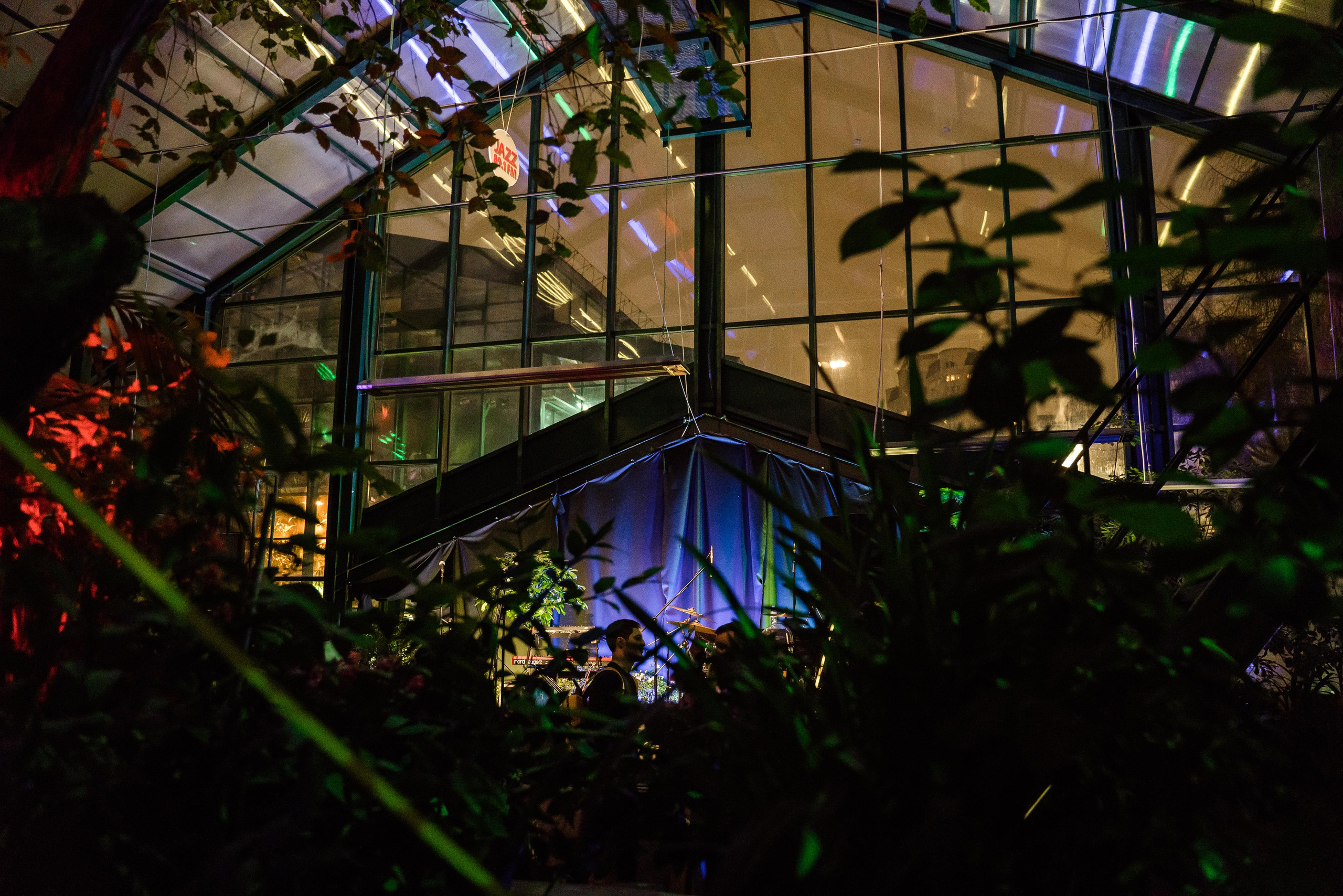 КОНЦЕРТ GAYANA В ОРАНЖЕРЕЕ. Репортажный и свадебный фотограф в Москве