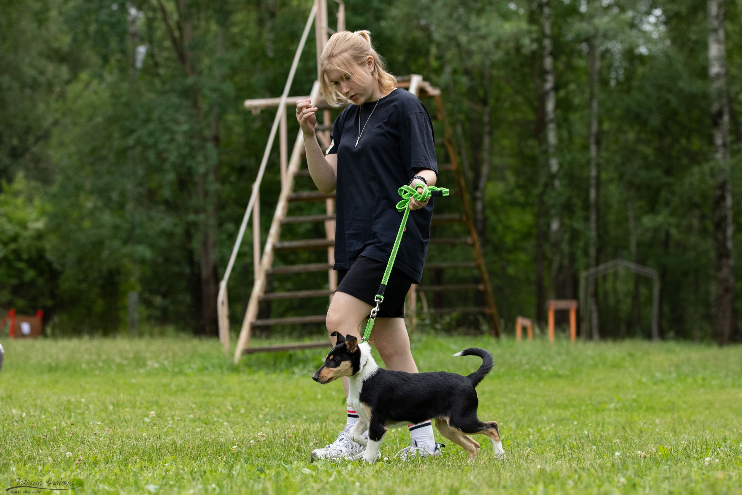 Репортаж с выводки молодняка колли/шелти в Ясенево. Фотограф-анималист в Москве и Московской области Татьяна Фролова