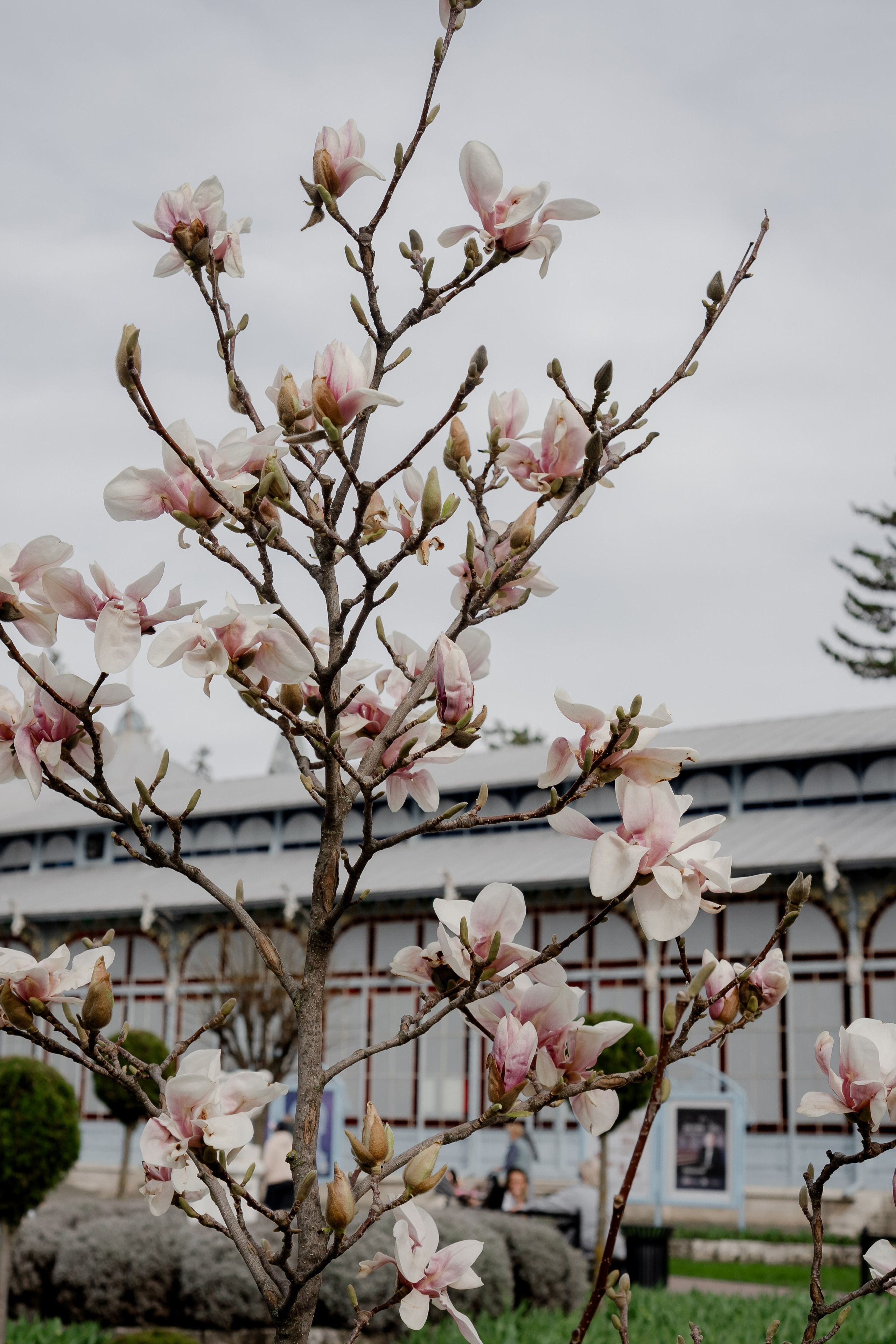 ПЯТИГОРСК. Профессиональный фотограф, Санкт-Петербург — Виктория Богомолова
