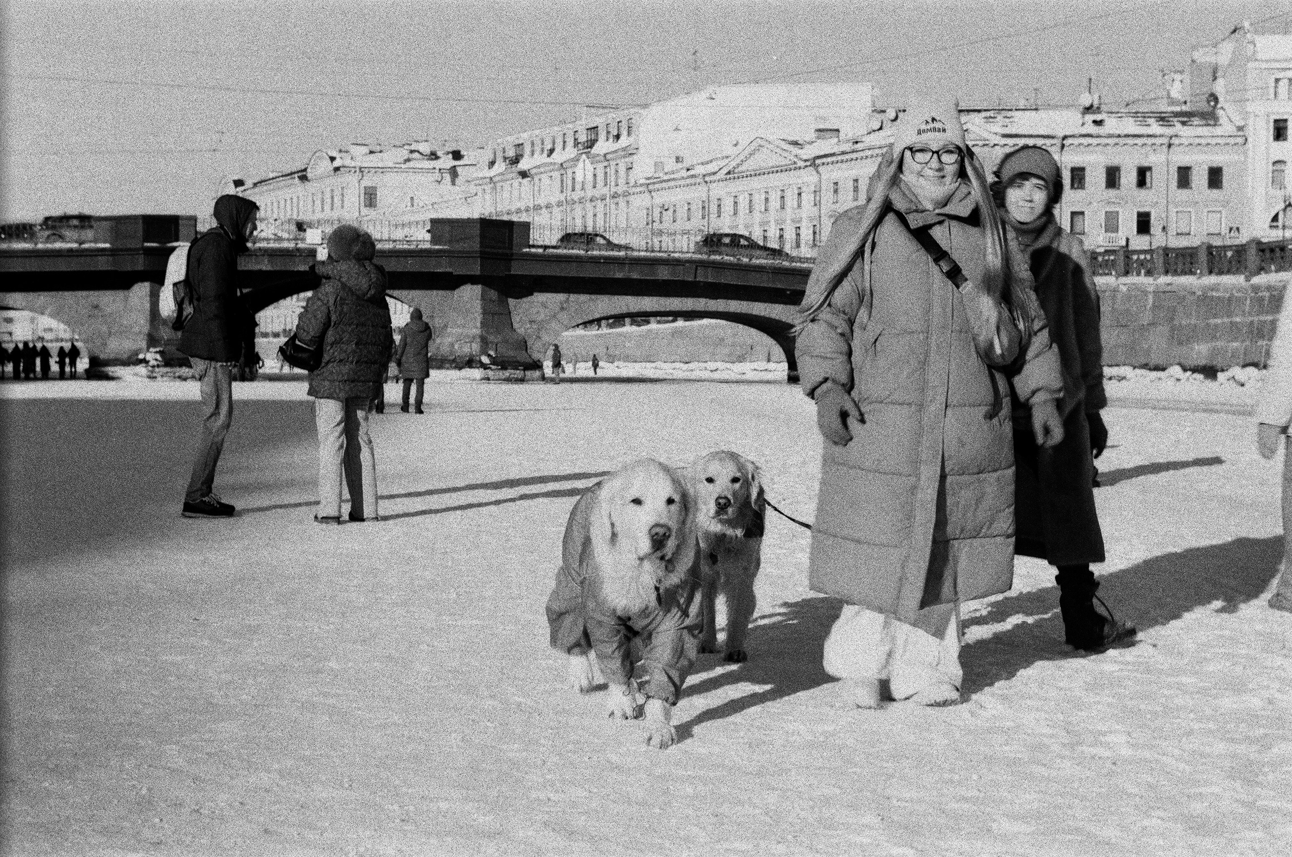 Петербург. Фотограф — Маслеников Константин