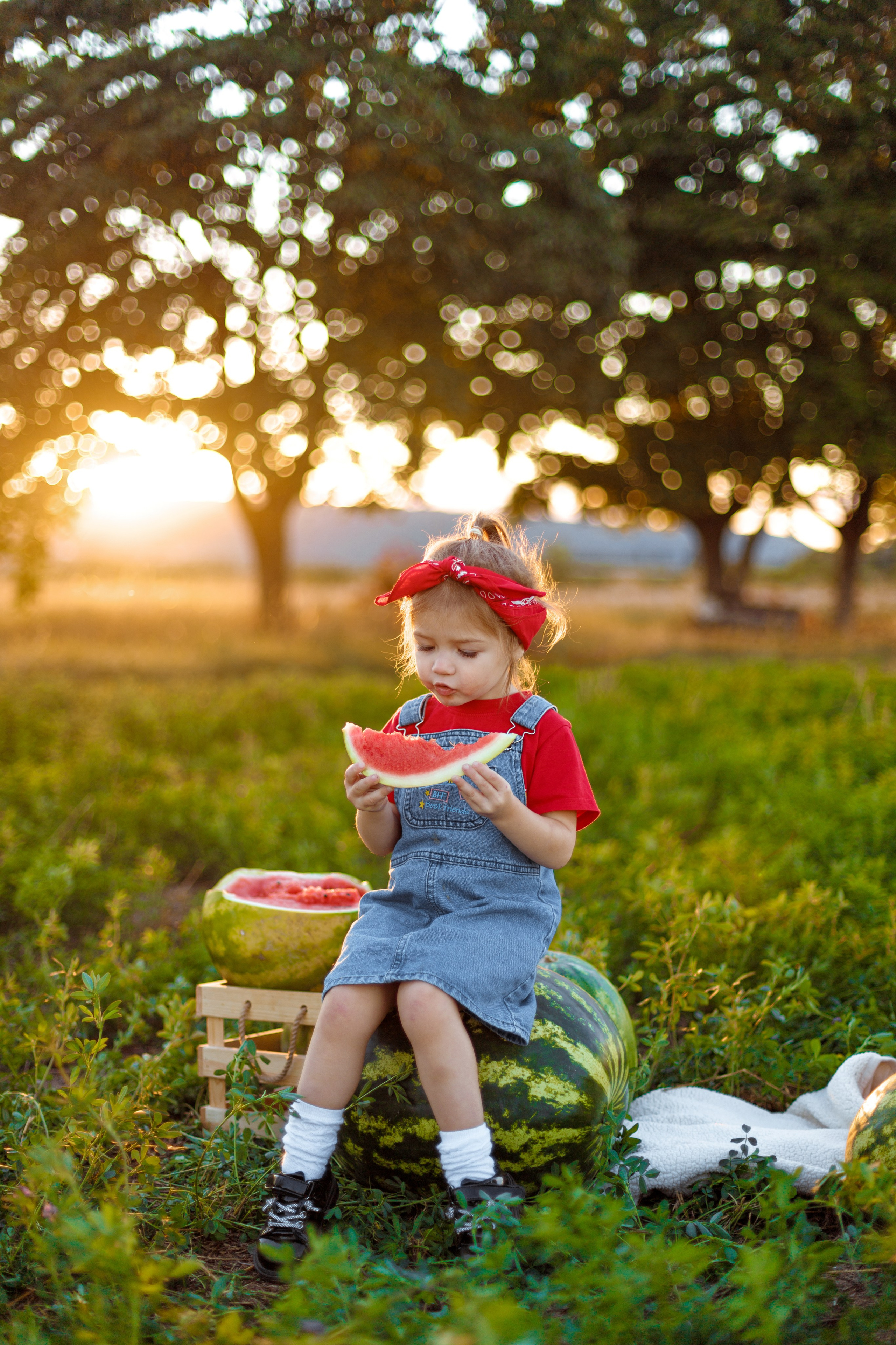 АРБУЗЫ. Семейный и детский фотограф в Крыму Екатерина Швец
