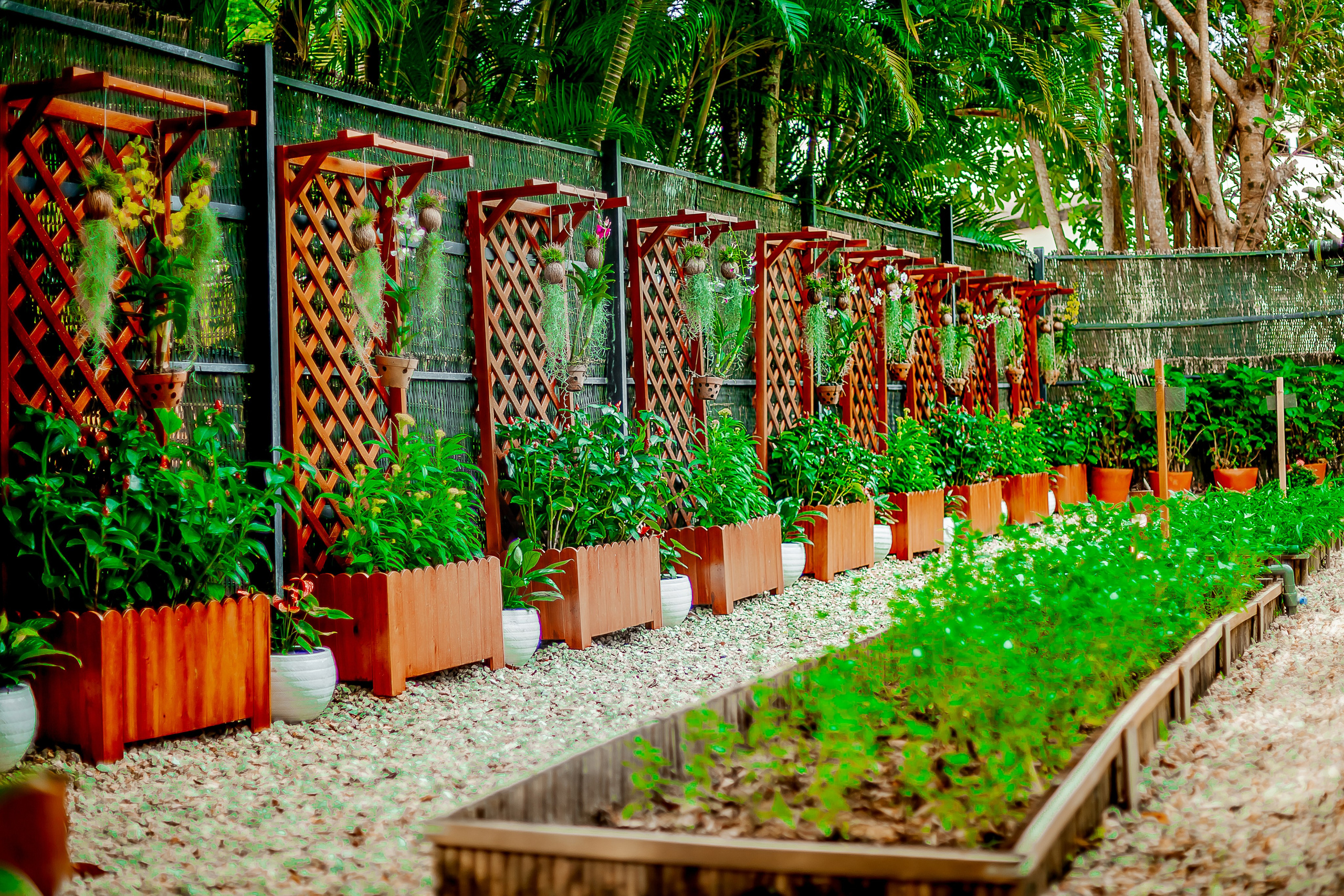 Репортажный фотограф Ялта. Репортажный фотограф Ялта