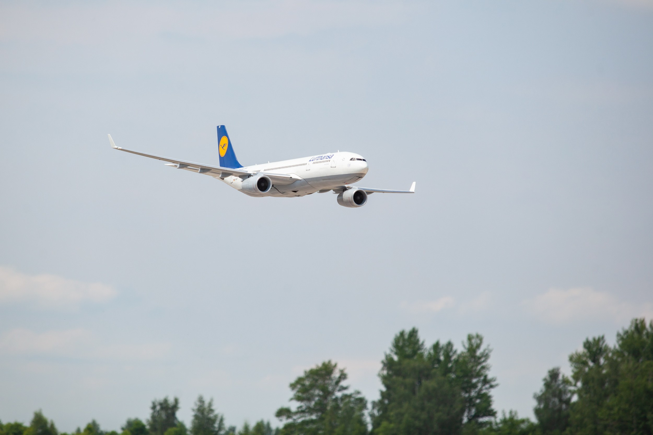 Тульские крылья (23 июня 2019). Репортажный фотограф Алексей Пирязев