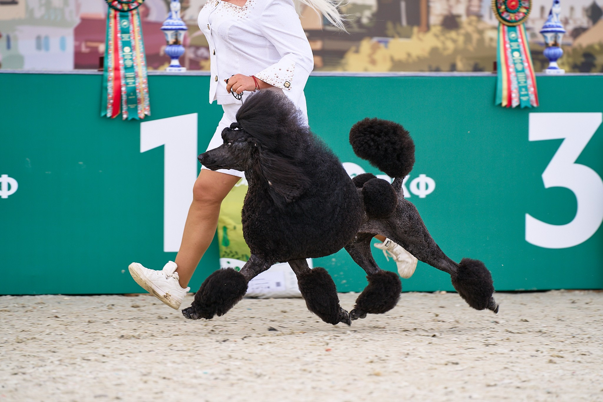 09.06.2024, «РОССИЯ. КУБОК МОСКВЫ 2024 & КУБОК ГОРОДОВ-ГЕРОЕВ»