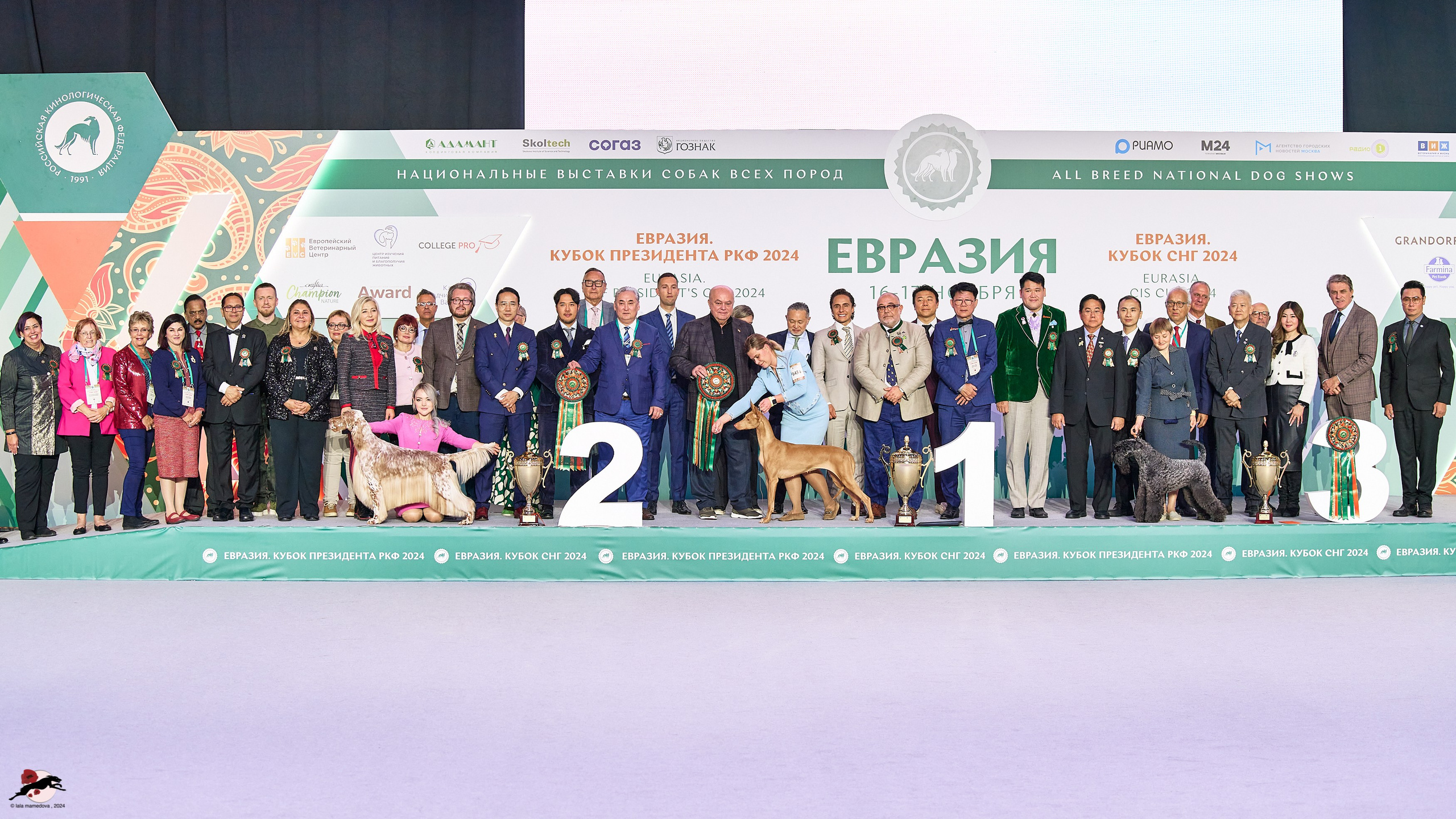 17.11.2024 «ЕВРАЗИЯ. КУБОК СНГ 2024»