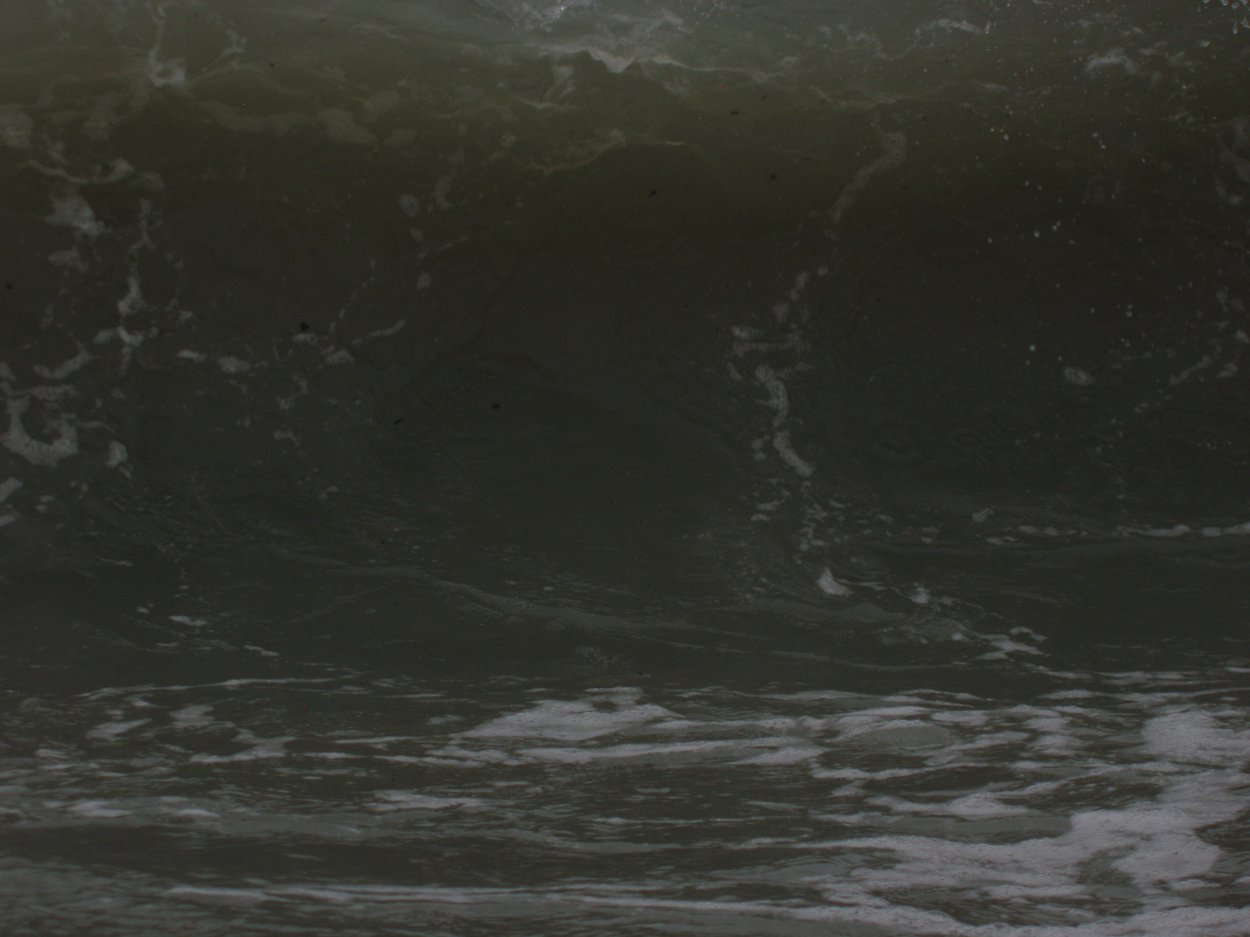 Отпуск 12.06-18.08. Семейный, Свадебный фотограф СПБ Питер— Романова Екатерина