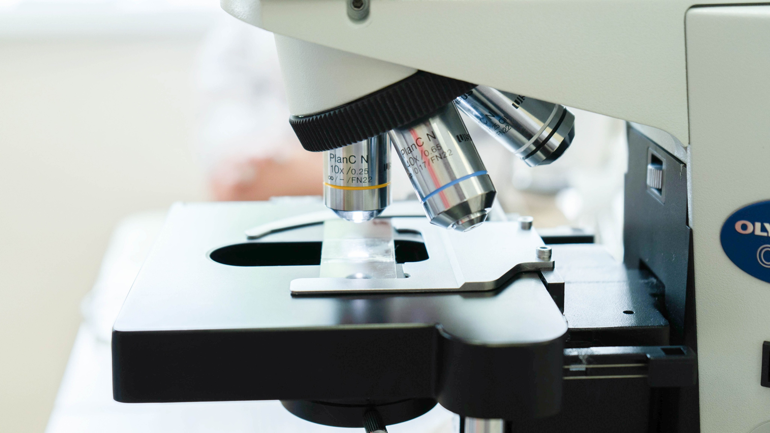 Московские мастера «Ветеринары». Фотограф, оператор-монтажер, продюсер медиа проектов в Москве