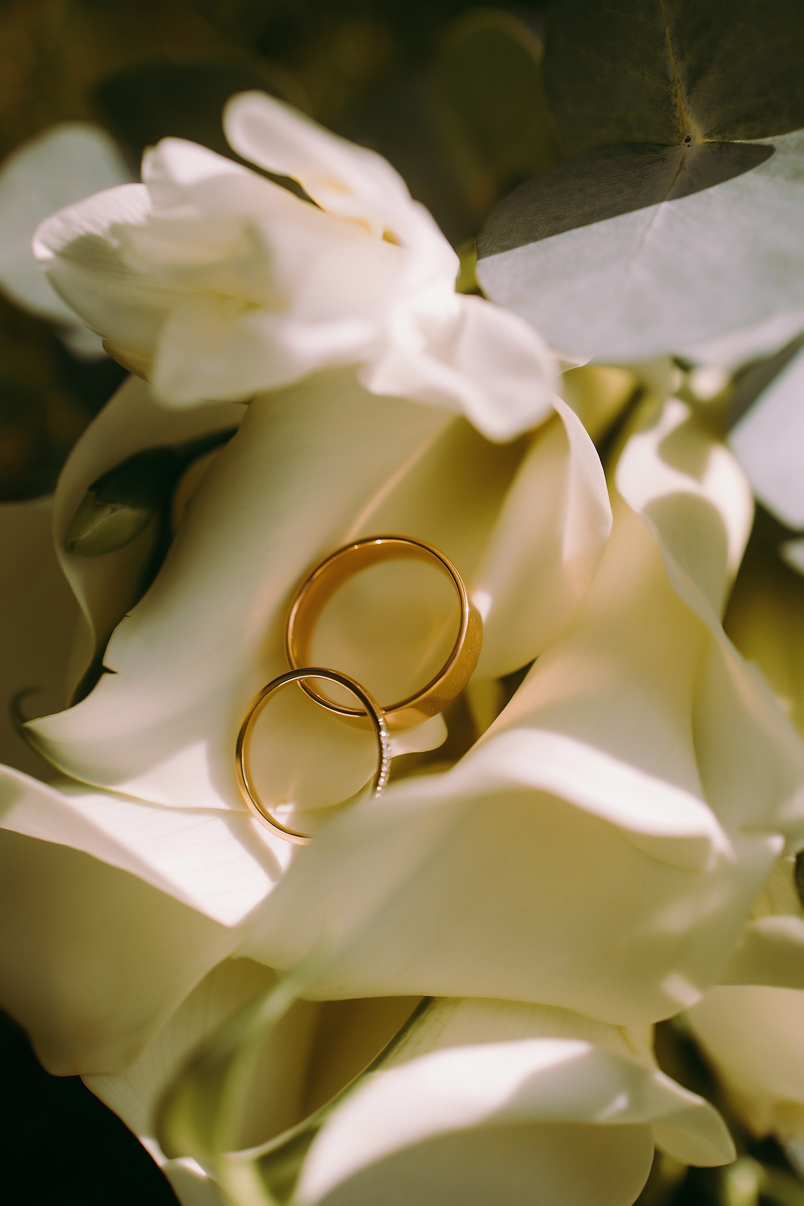 Свадебная фотосессия в Москве