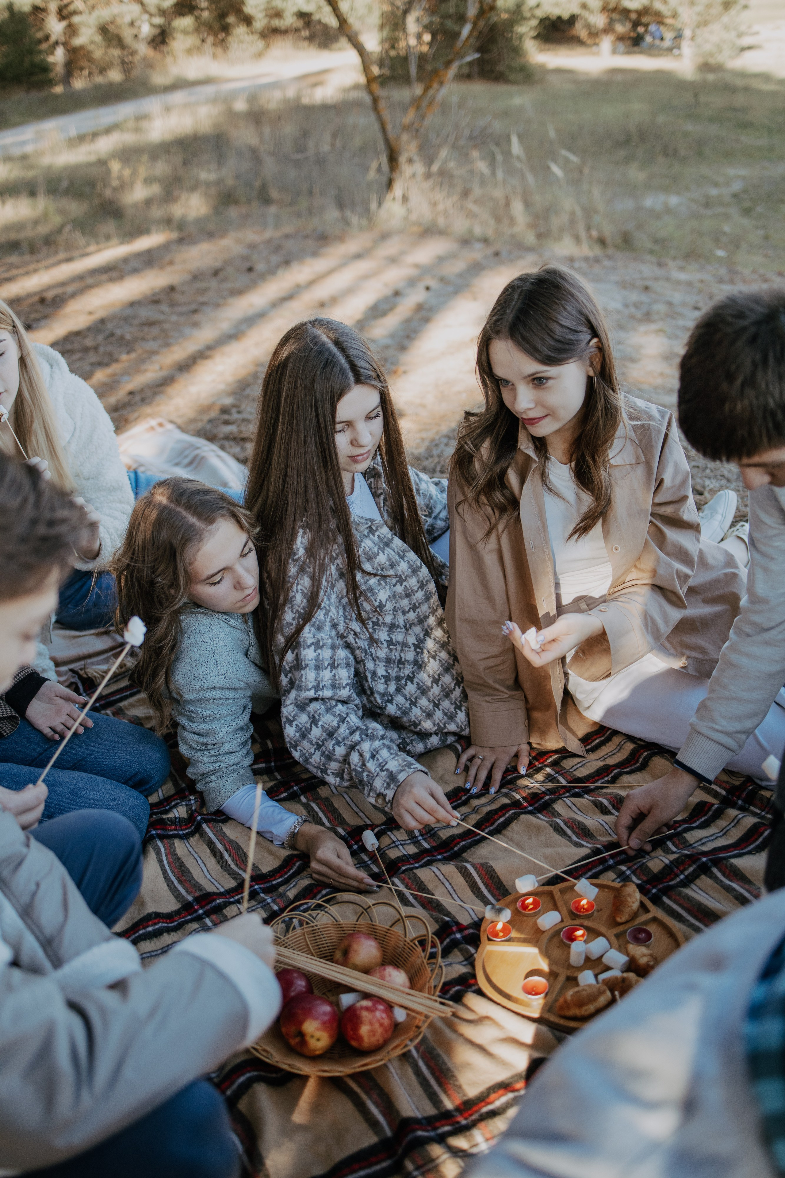 Фотосессия пикника для 11 класса. Выпускные альбомы в Серпухове