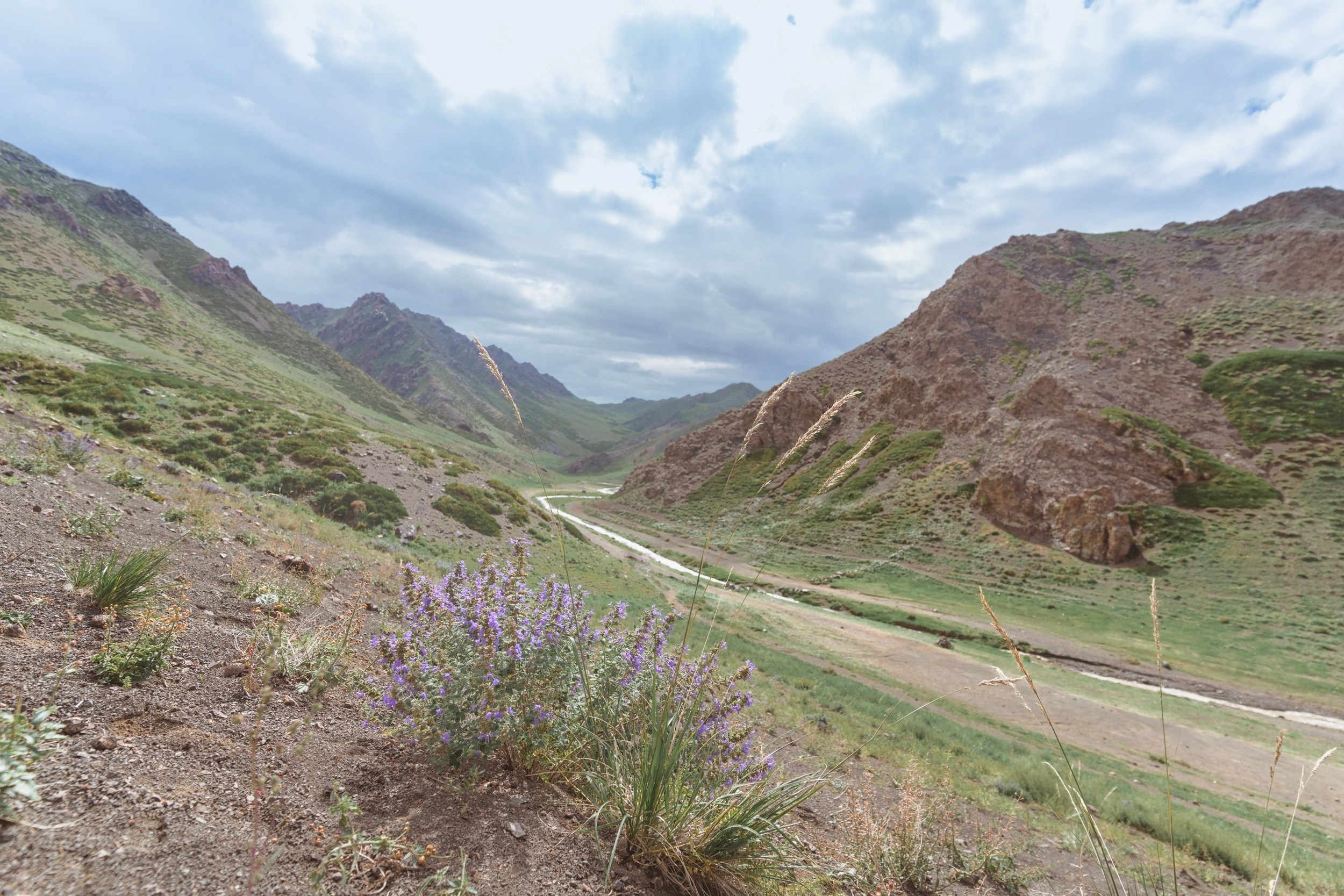 Горная река в Ущелье грифов Елын Ам, Mountain river in the Gorge of the vultures Elyn Am
