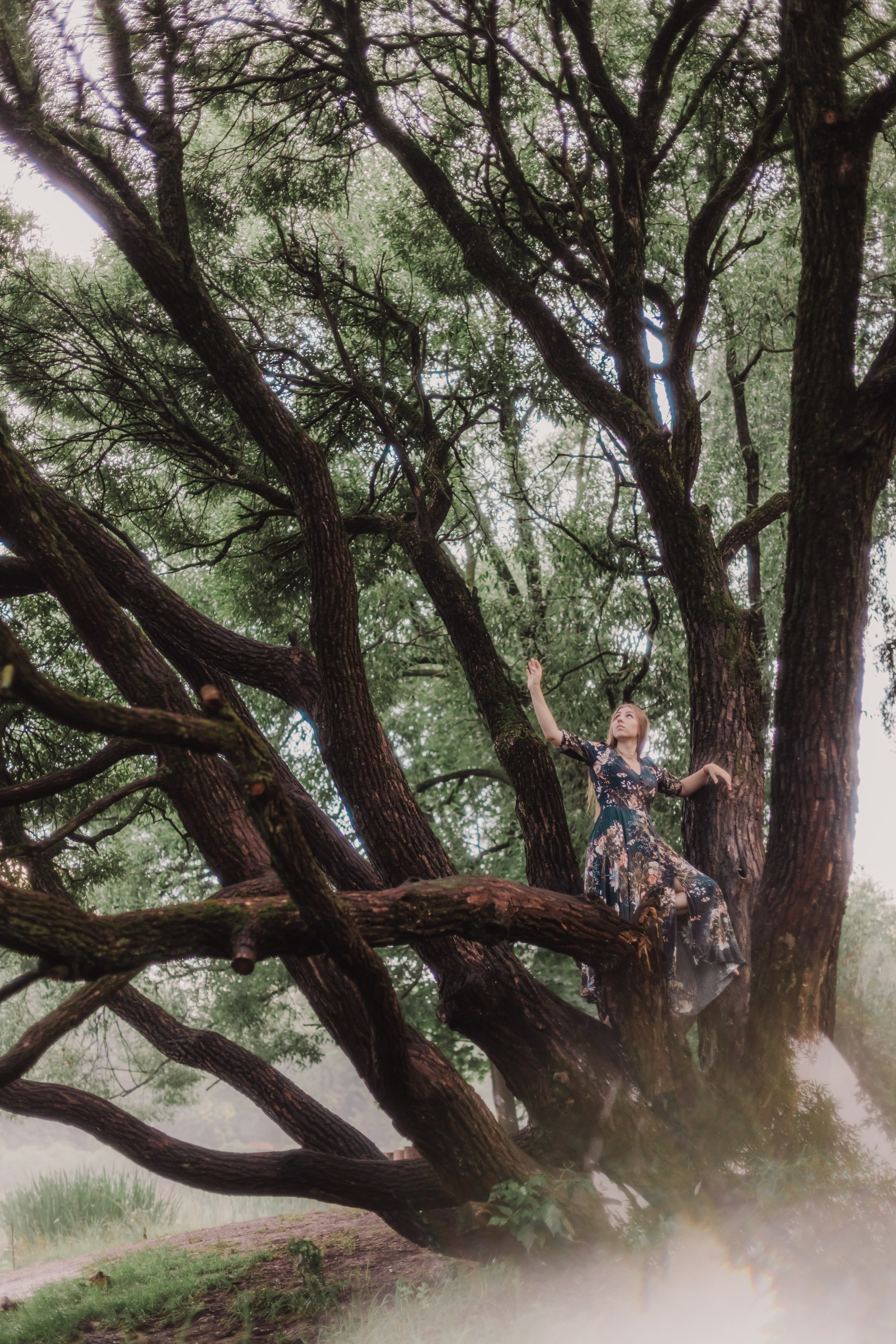 Магия леса. Мариам Багдасарян