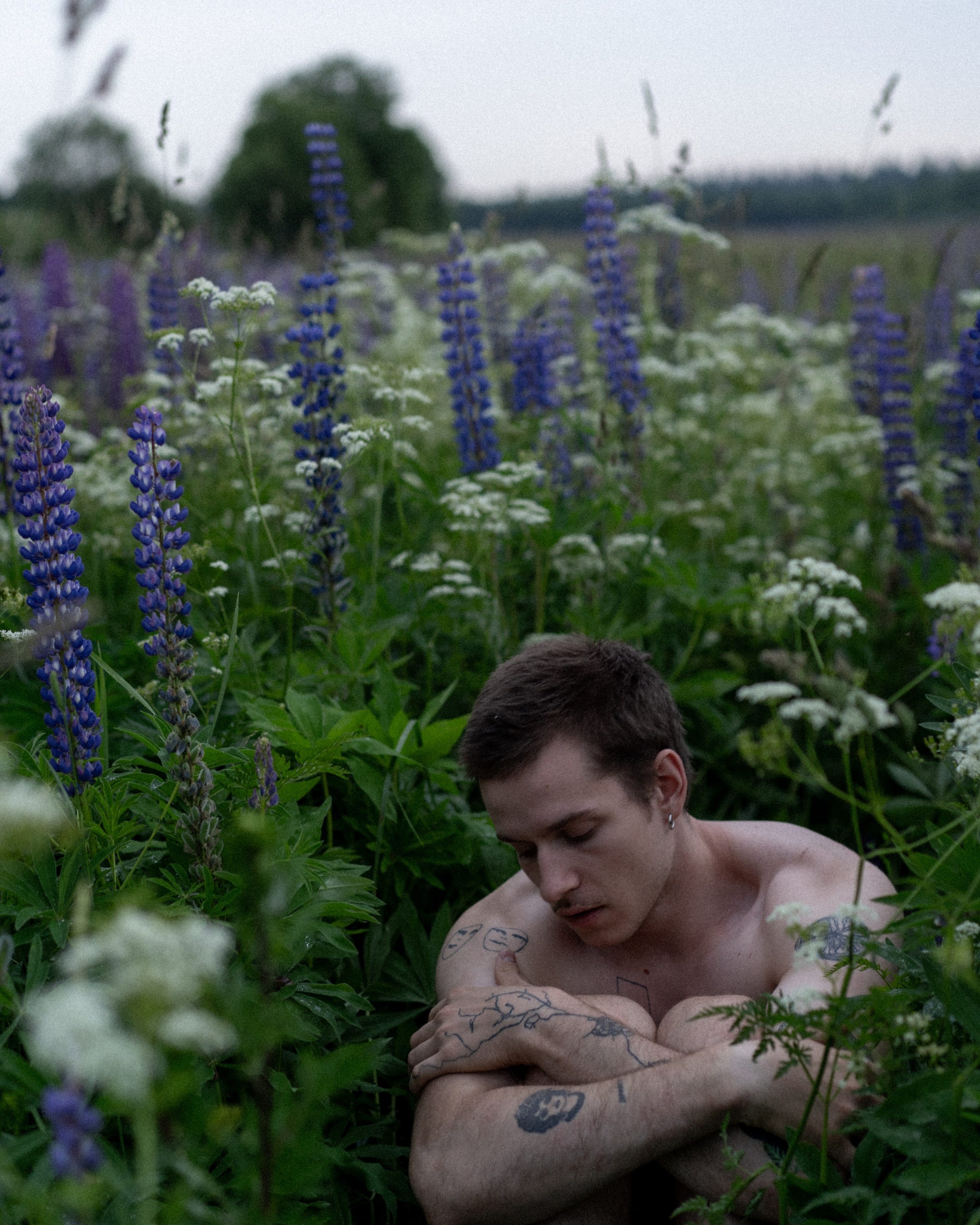 В поле люпинов. Фотограф Елизавета Потешкина