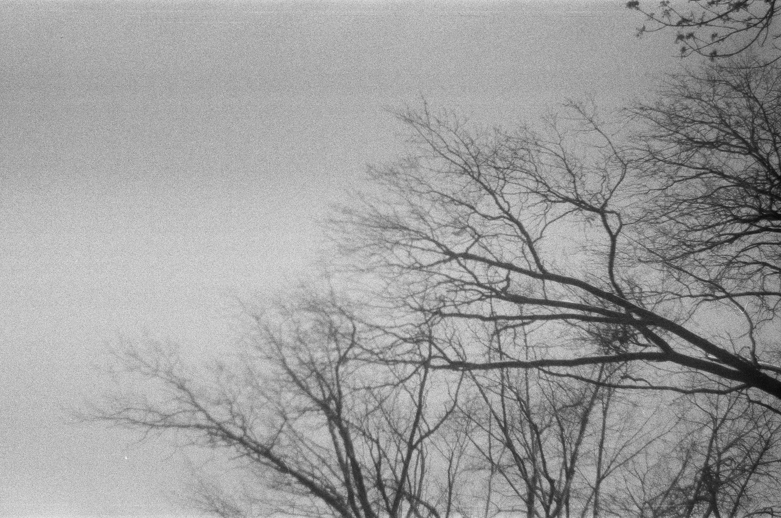 ` плёнка. Портретный фотограф в Санкт-Петербурге Татьяна Фокина