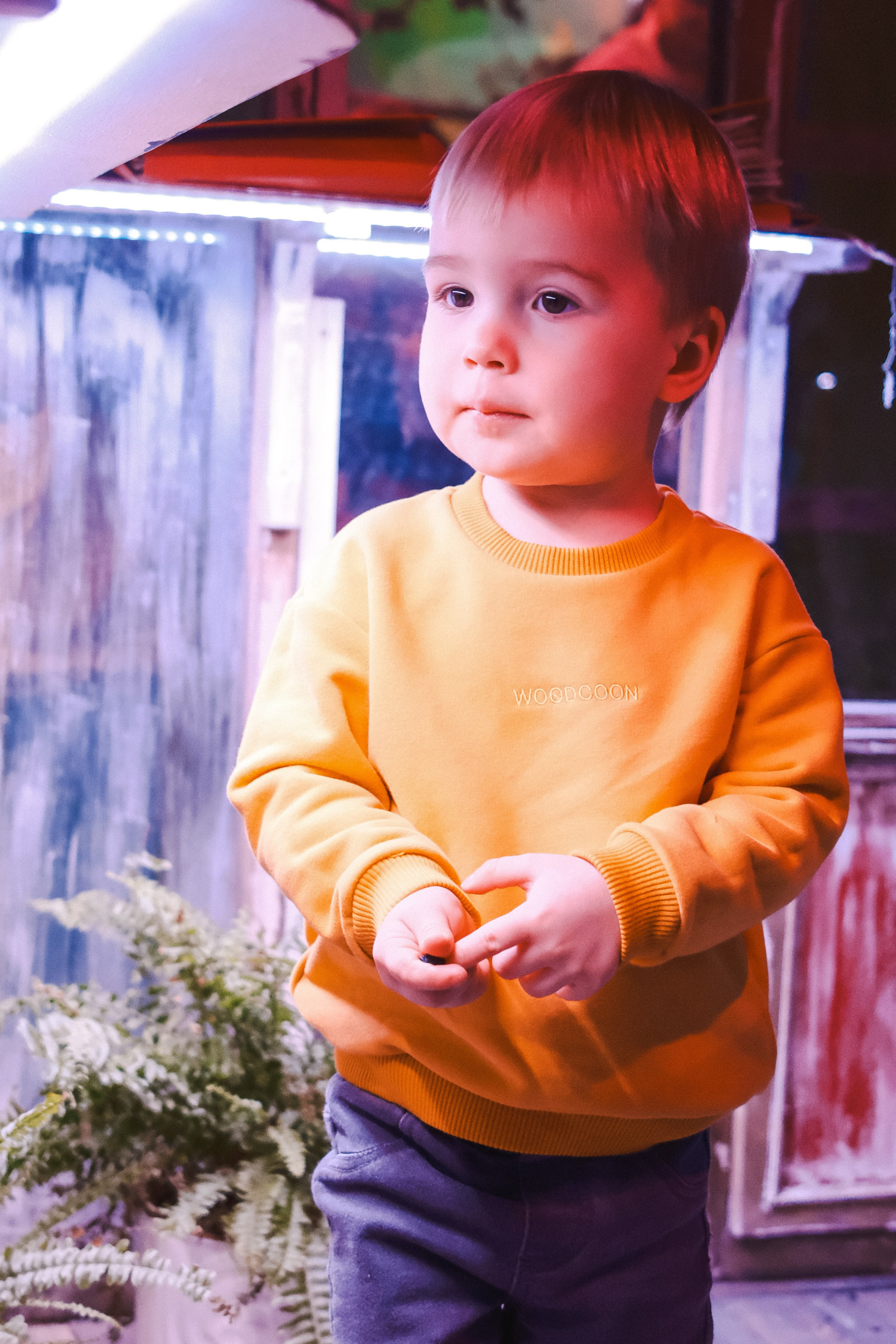 День Рожденное