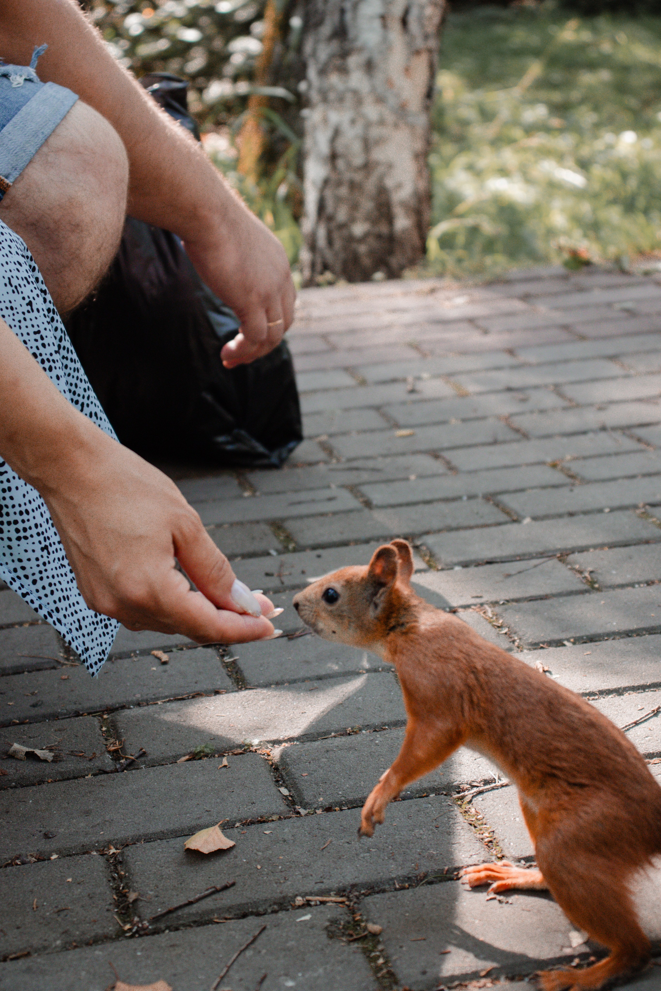 Съёмка беременной Томск. Фотосессия для беременных Томск. Фотограф в Томске Дарья Пучкина
