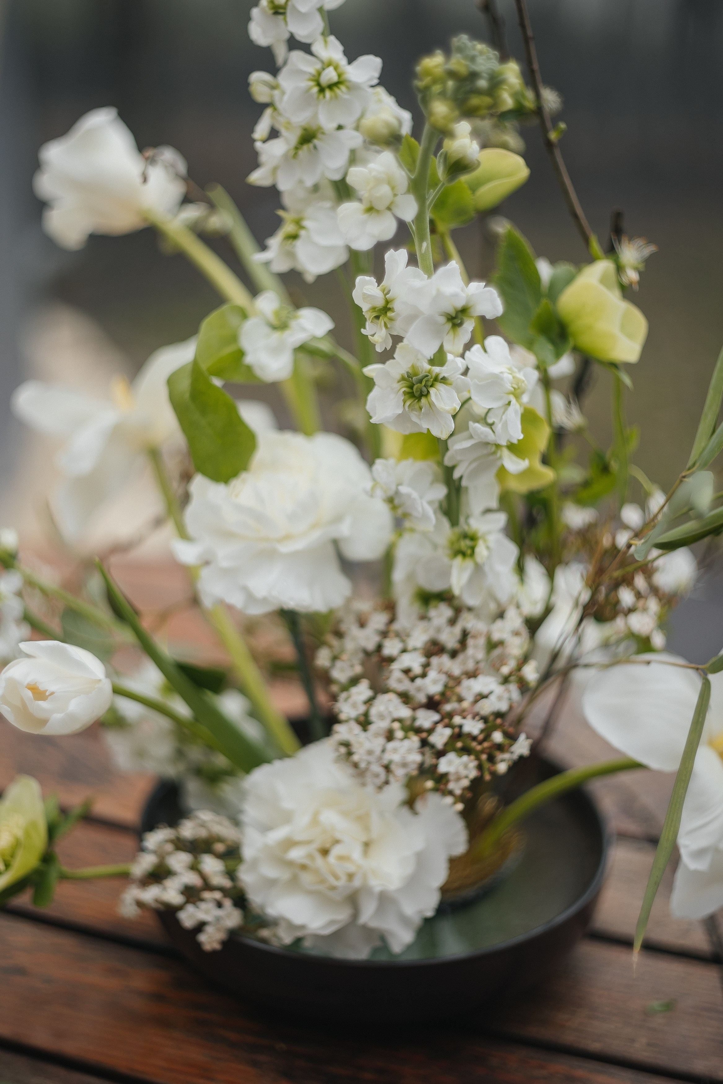 Сочи. Чайная плантация. Фотограф Москва, Балашиха, МО. Свадьбы, репортажи, контент, портреты