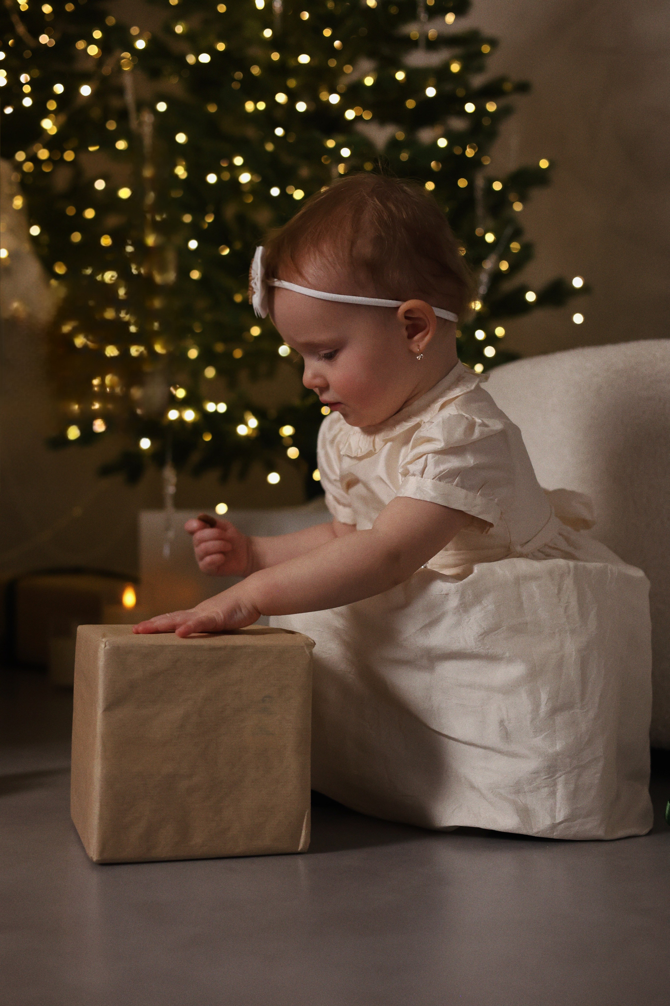 Новогодняя семейная. Главная