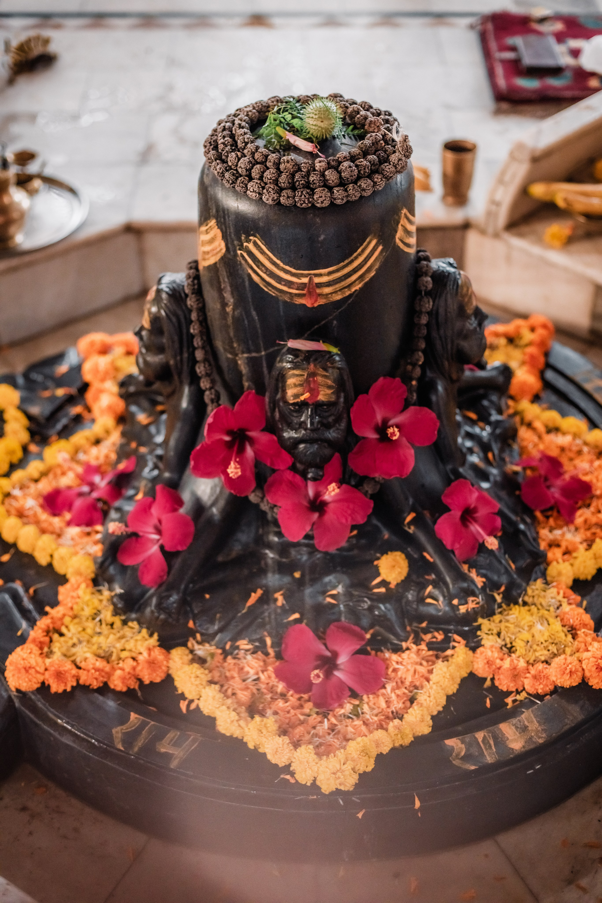 Devraha baba ji ashram life 2025. Mariam Bagdasaryan