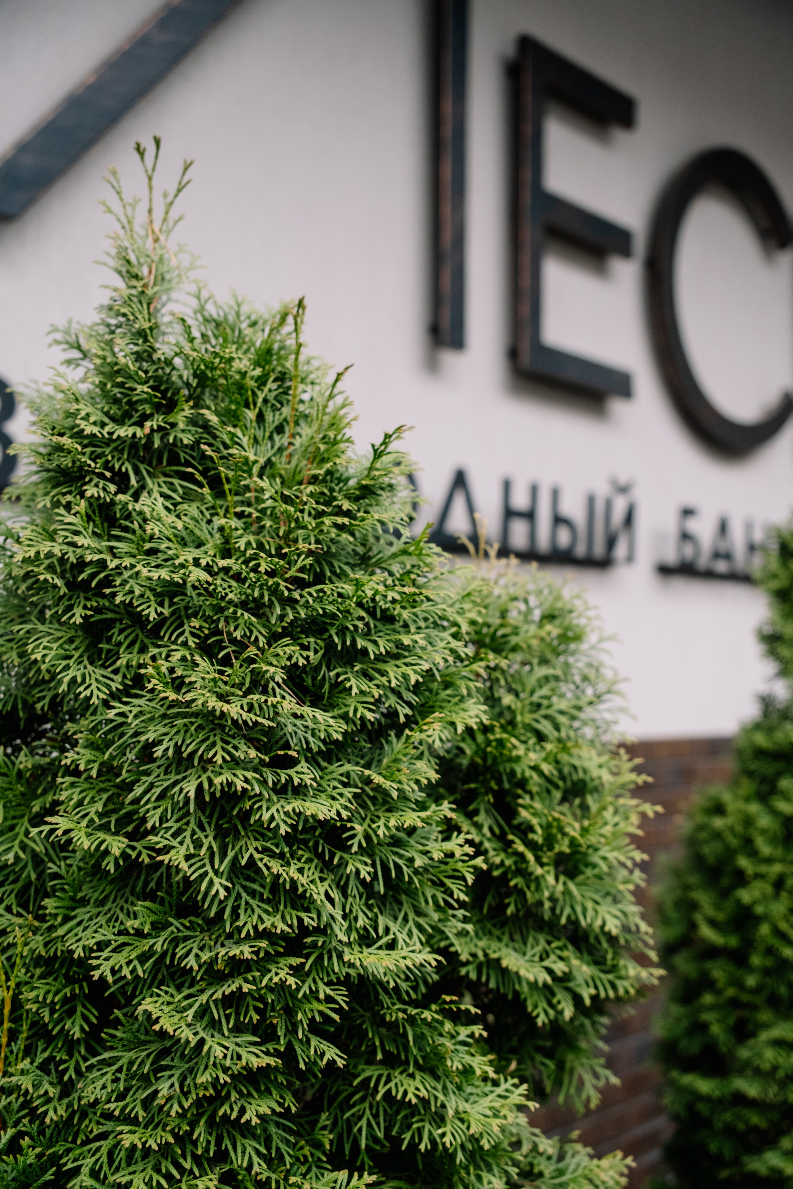 Е&А. Фотограф в Челябинске I Надин Палмер